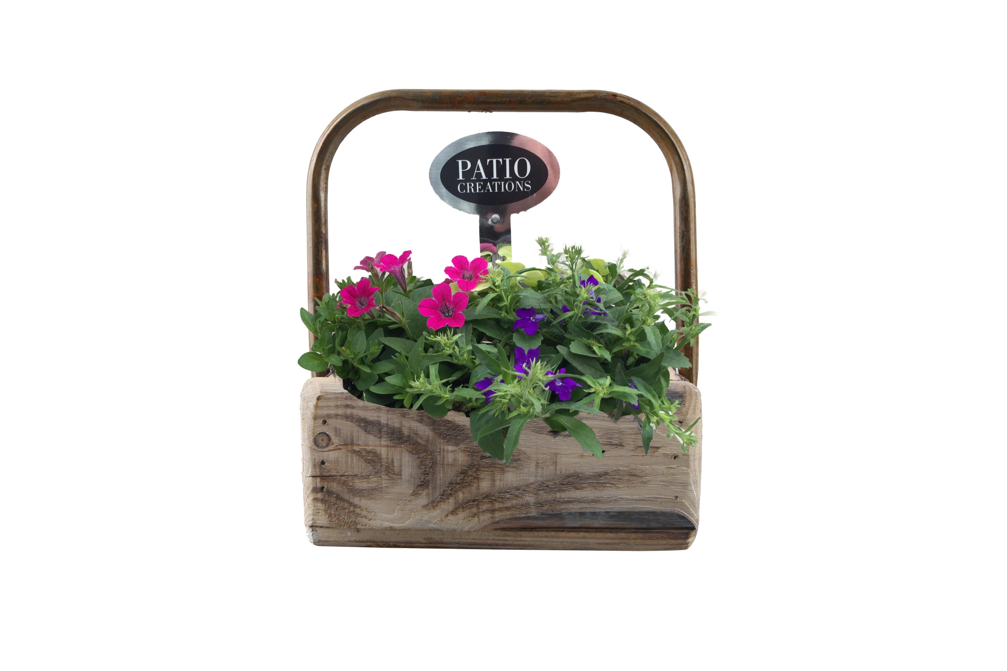 PRF670-9001 Primula en Festuca dennenhout metaal hengsel S, D 22