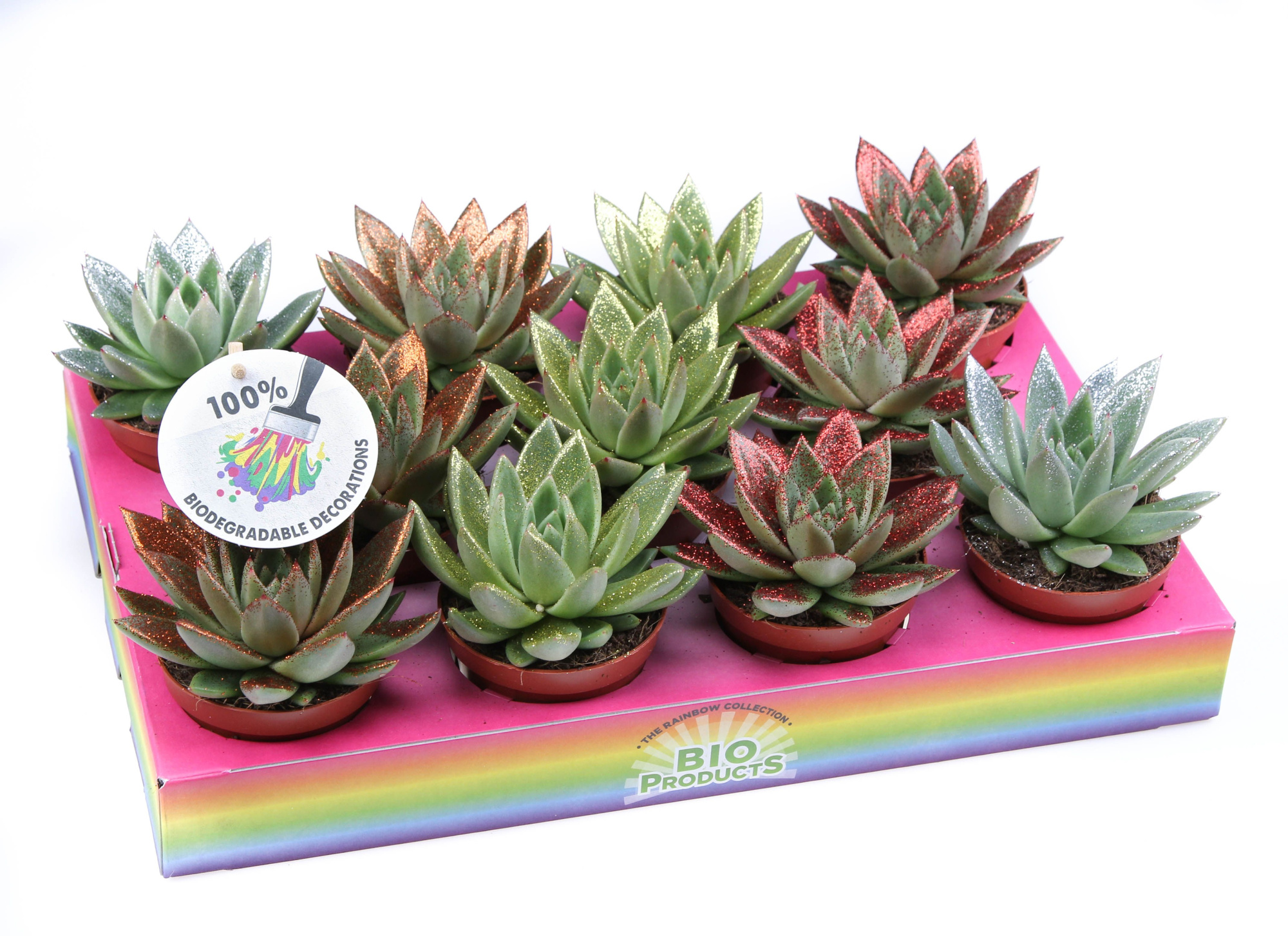 Bio miranda naturel glitter mix, D 8,5