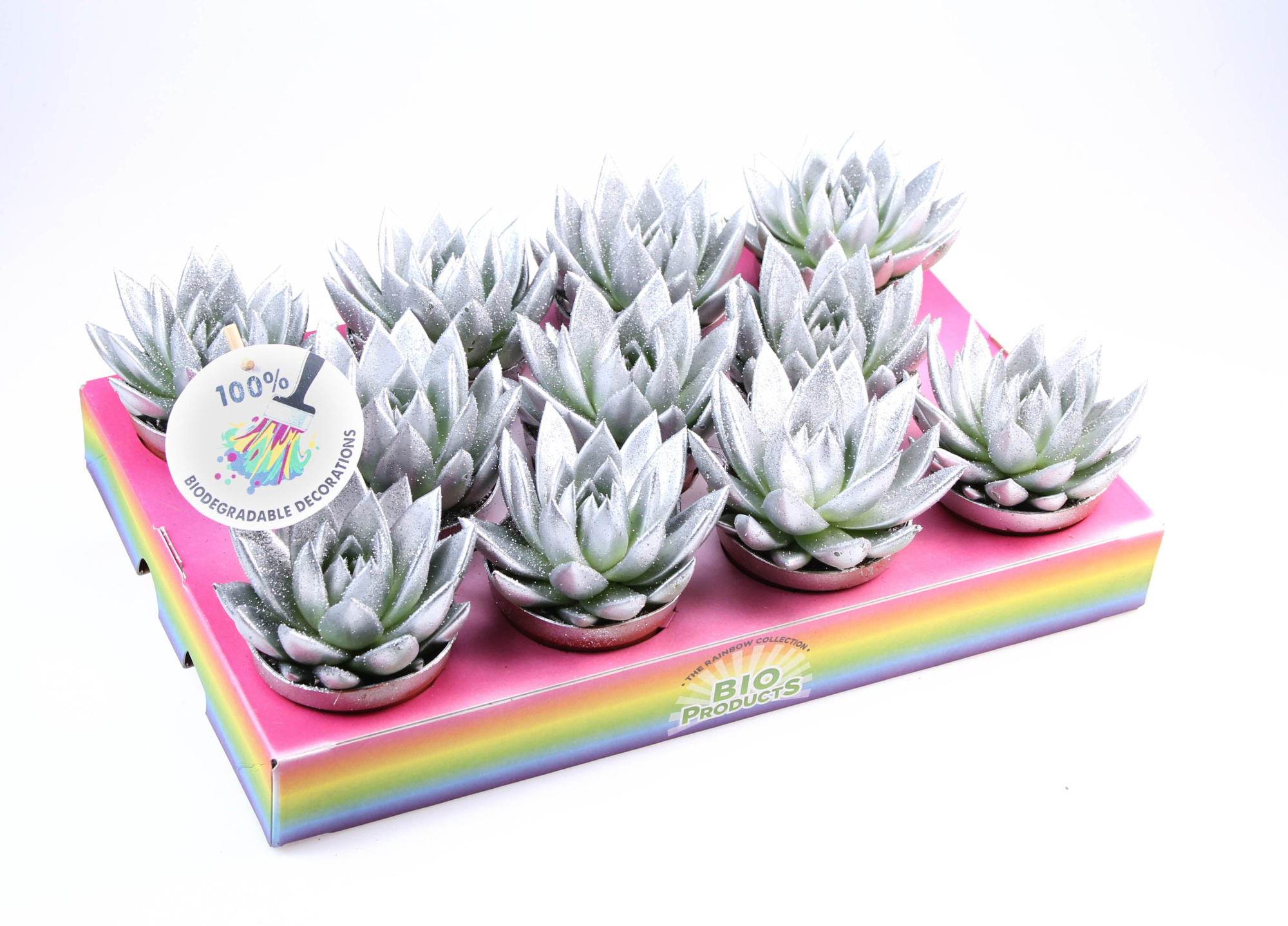 Bio miranda silver glitter, D 8,5