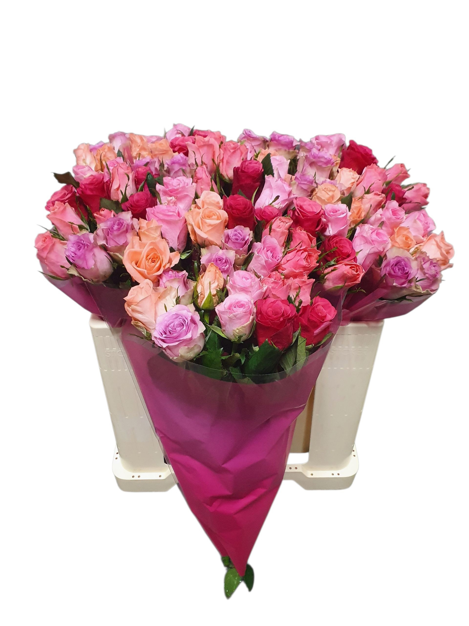 Роза од. Микс в пачке 50, шт.