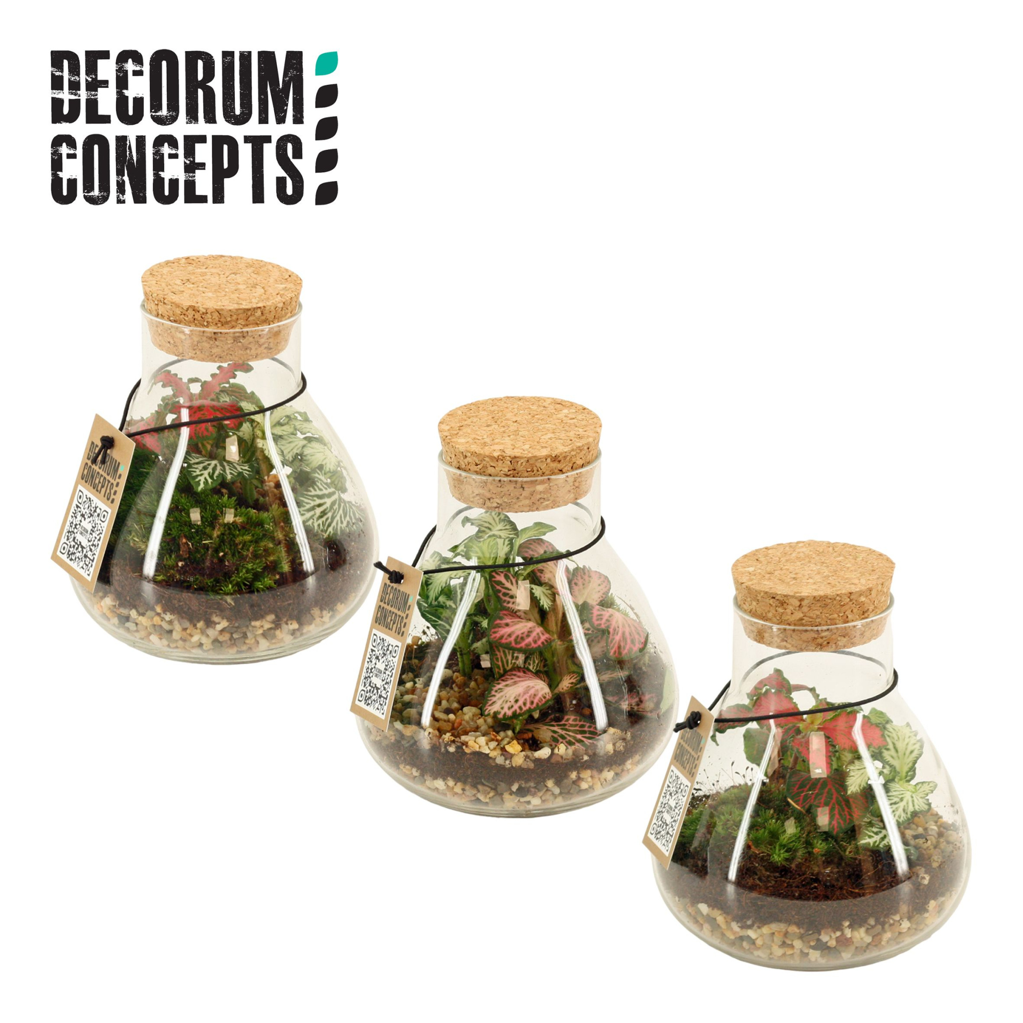 Terrarium Erlenmeyer Nano (Decorum concepts), D 11 cm