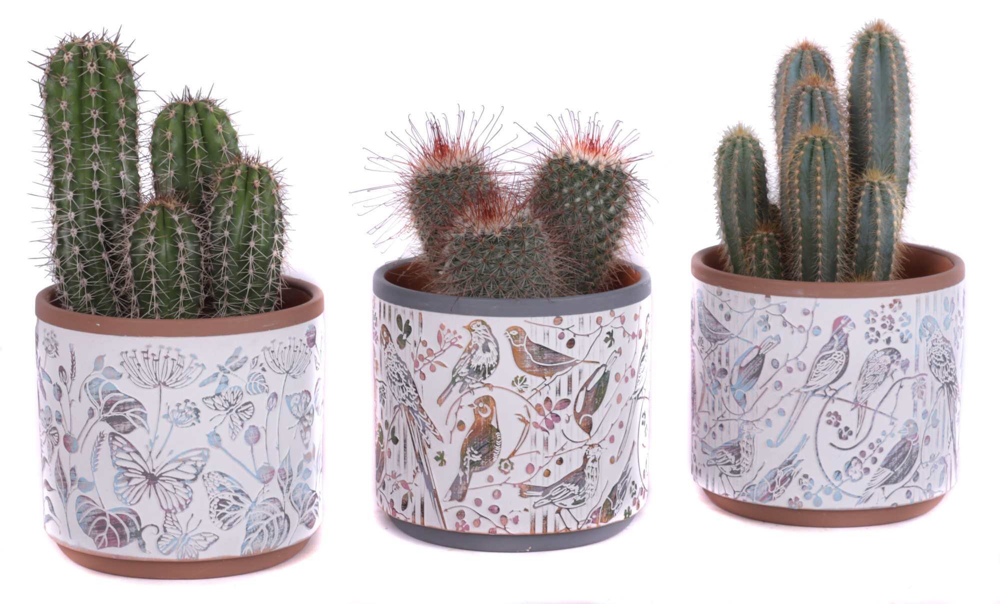 Cactus mix Ø12cm in Ø14cm Ceramic Pot Forest, D 14