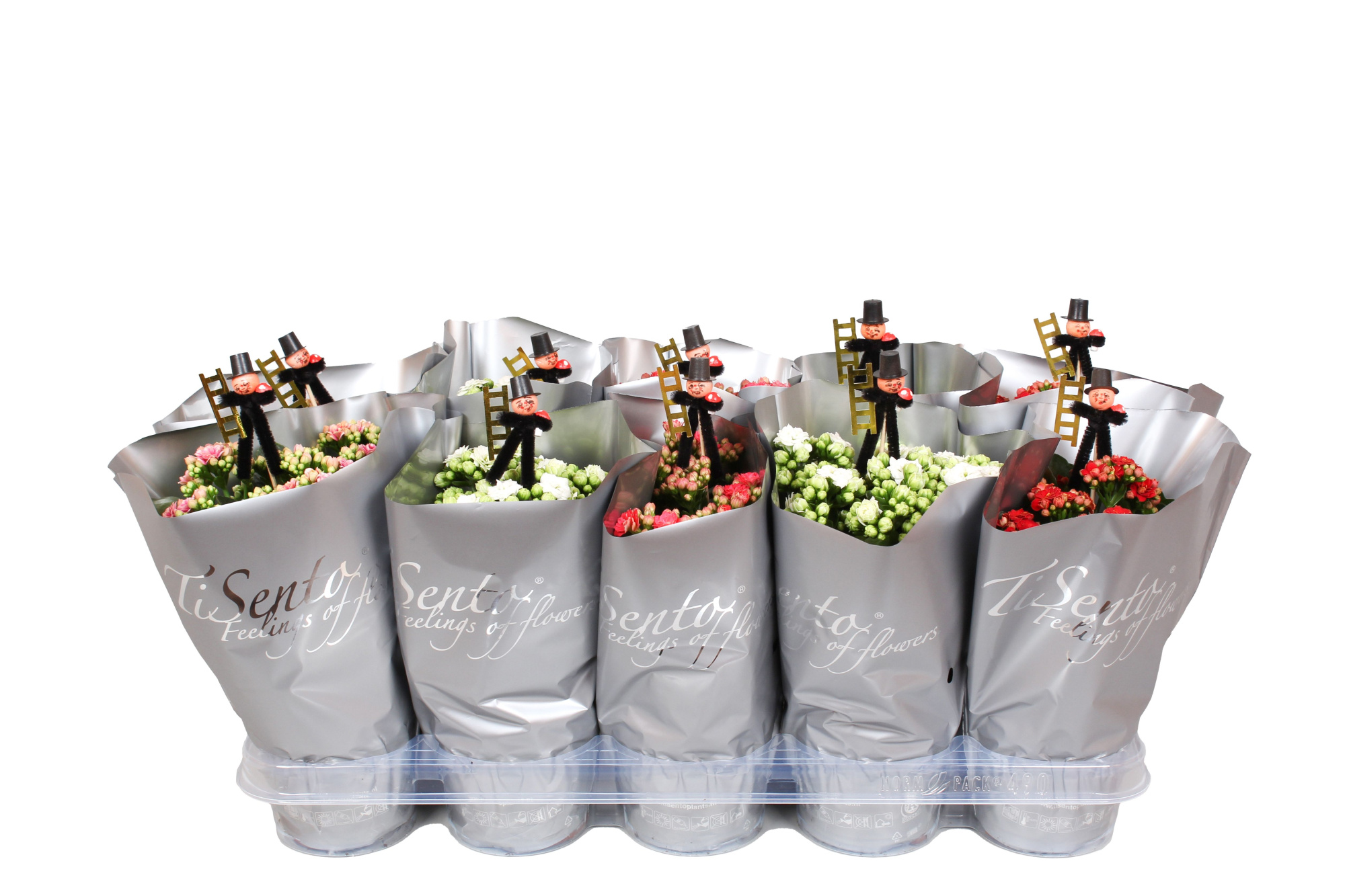 Silvester Calandiva Mix in Zilver + Bijsteker Schoorsteenveger, D 12