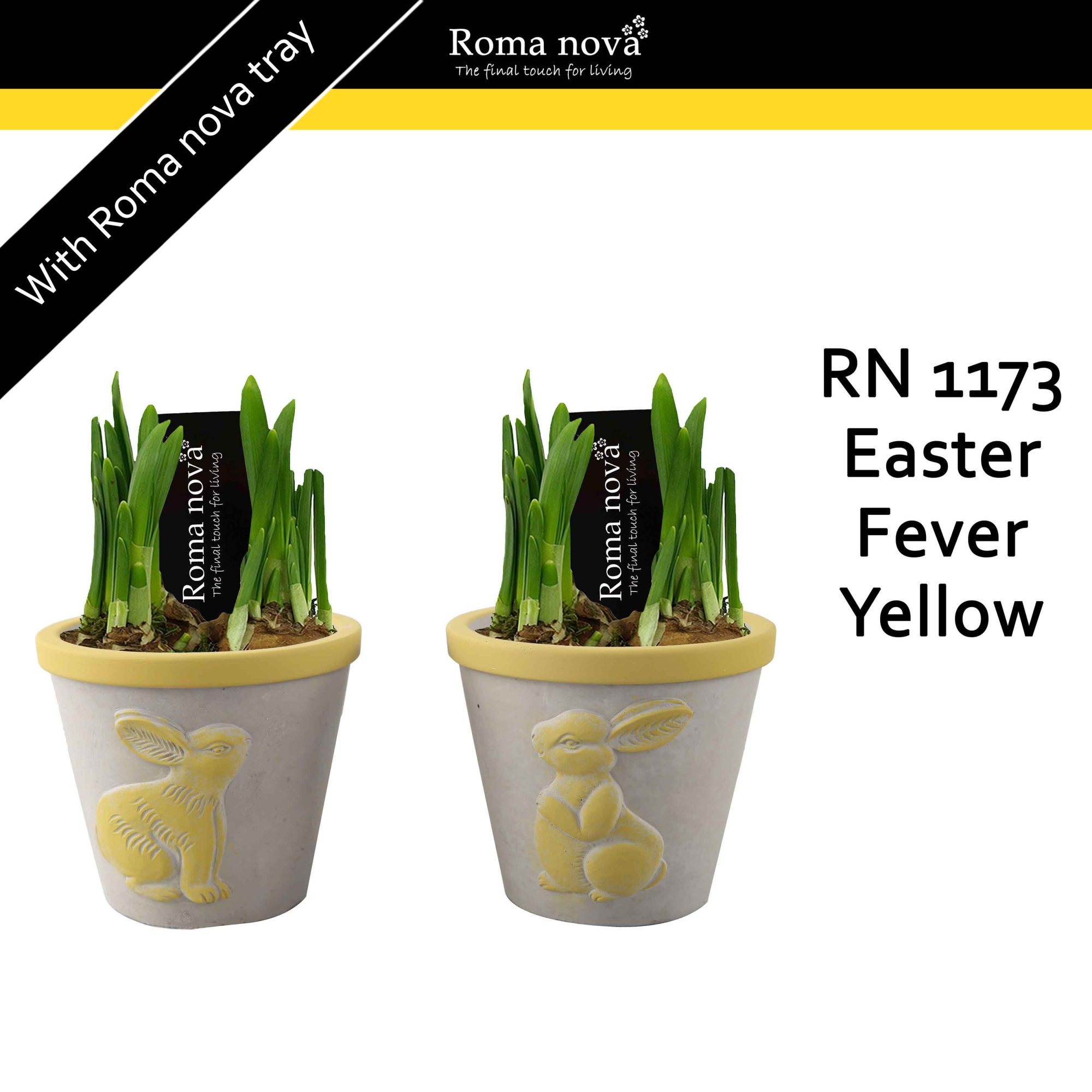 1173-2 - Easter Fever Yellow (Tete a Tete), D 11 cm