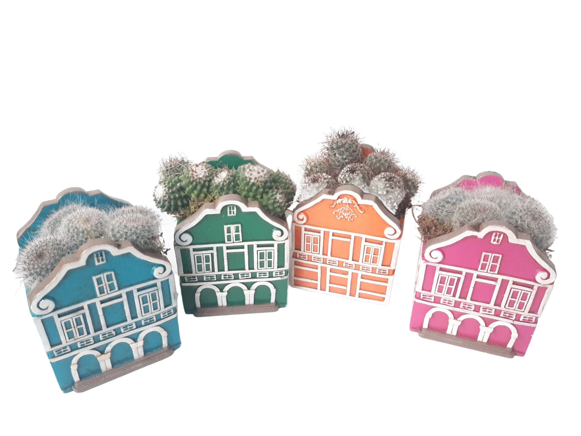 CASA C11 Casa Carribean Cactusmix, D 11 cm