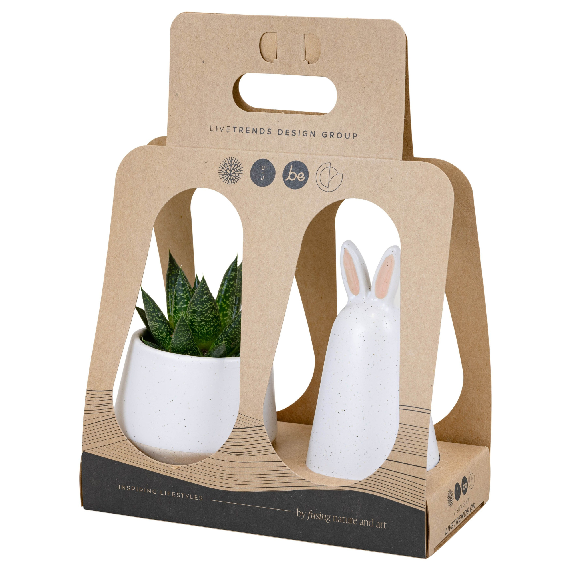 Hoppity Recycle Giftbox with Succulent mix, D 6 cm