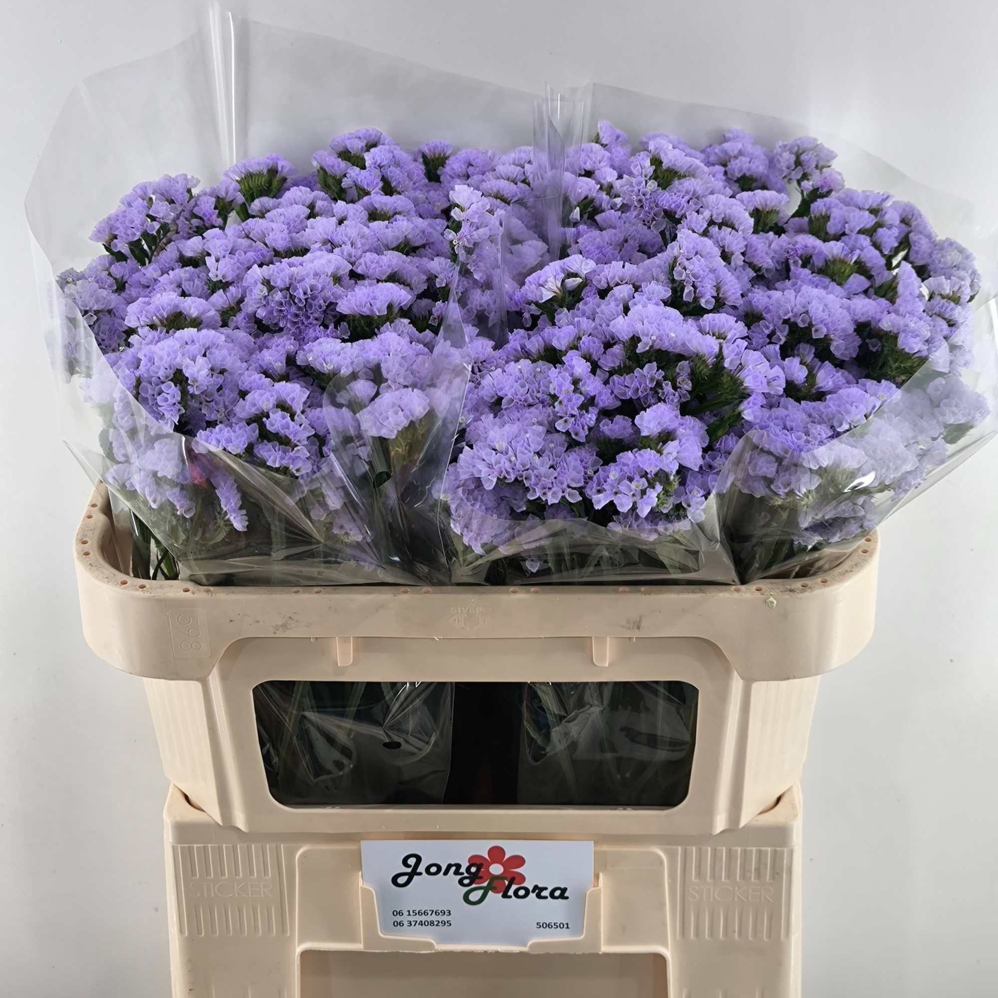 Статица Мермейд Вингз 70, шт.