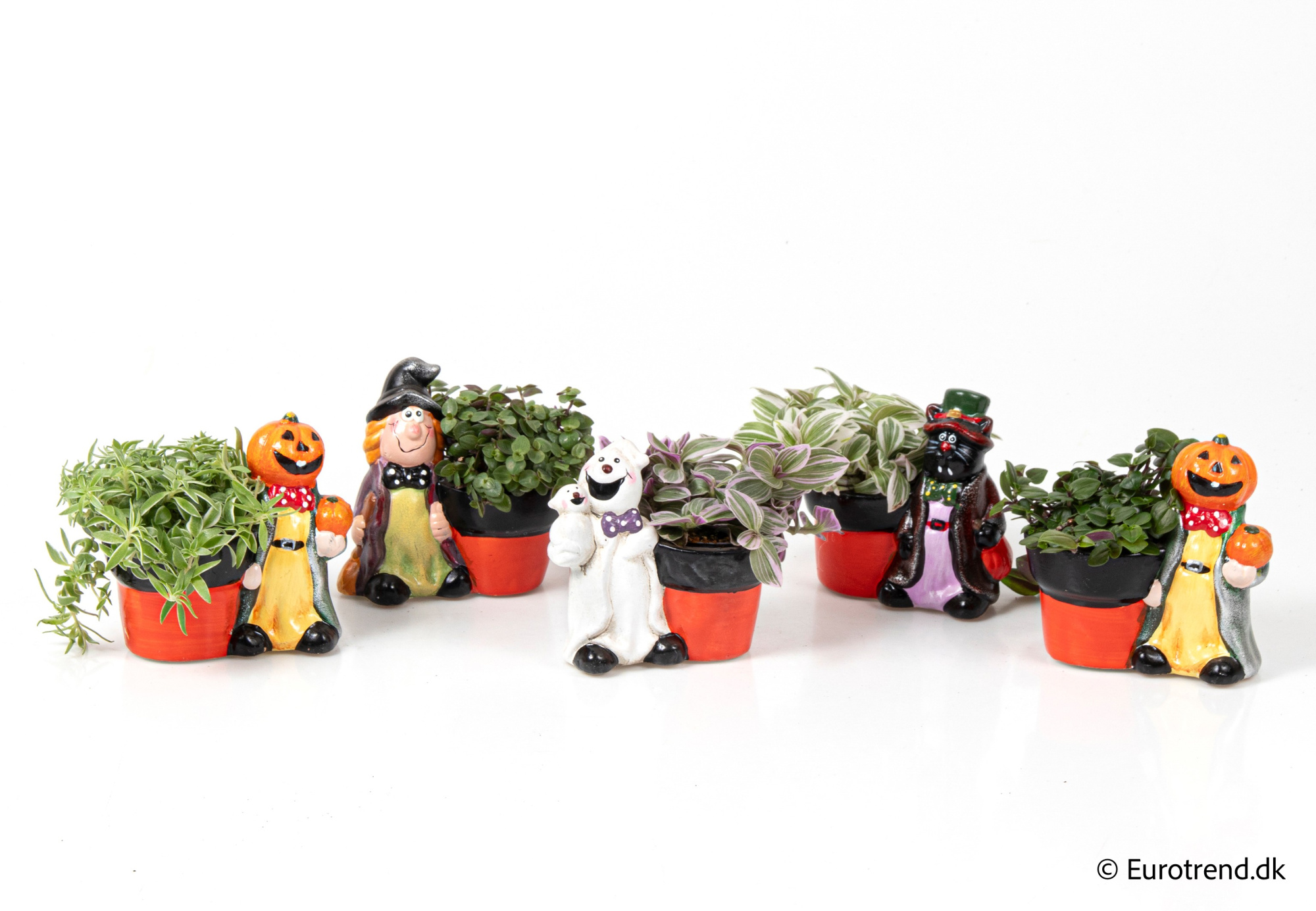 Green Mix in Halloween ceramic 2025, D 6 cm