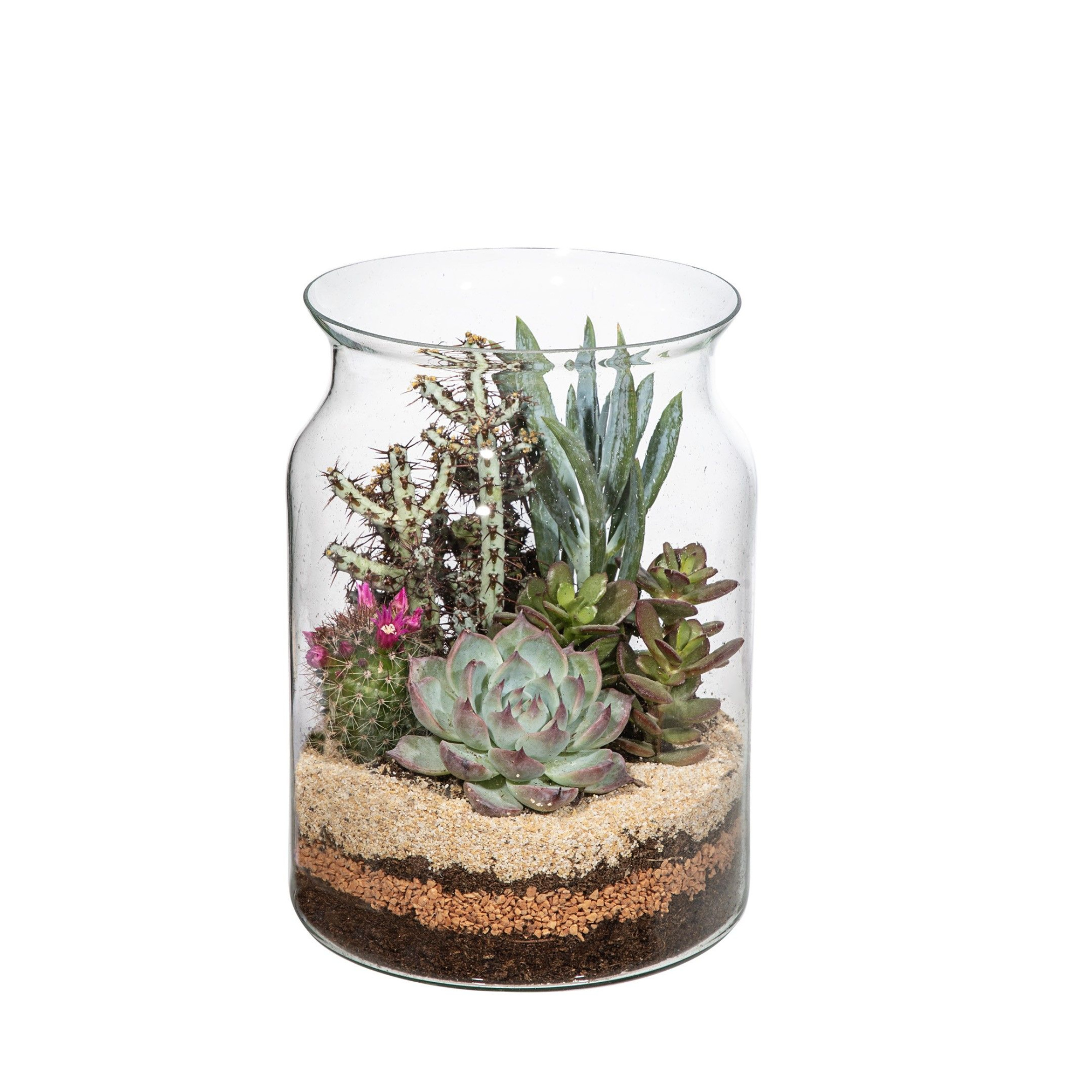 TERRARIUM STYLE GLASS ARRANGEMENT - Ø15 H20 IN SINGLE BOX 15x15 CM, D 15