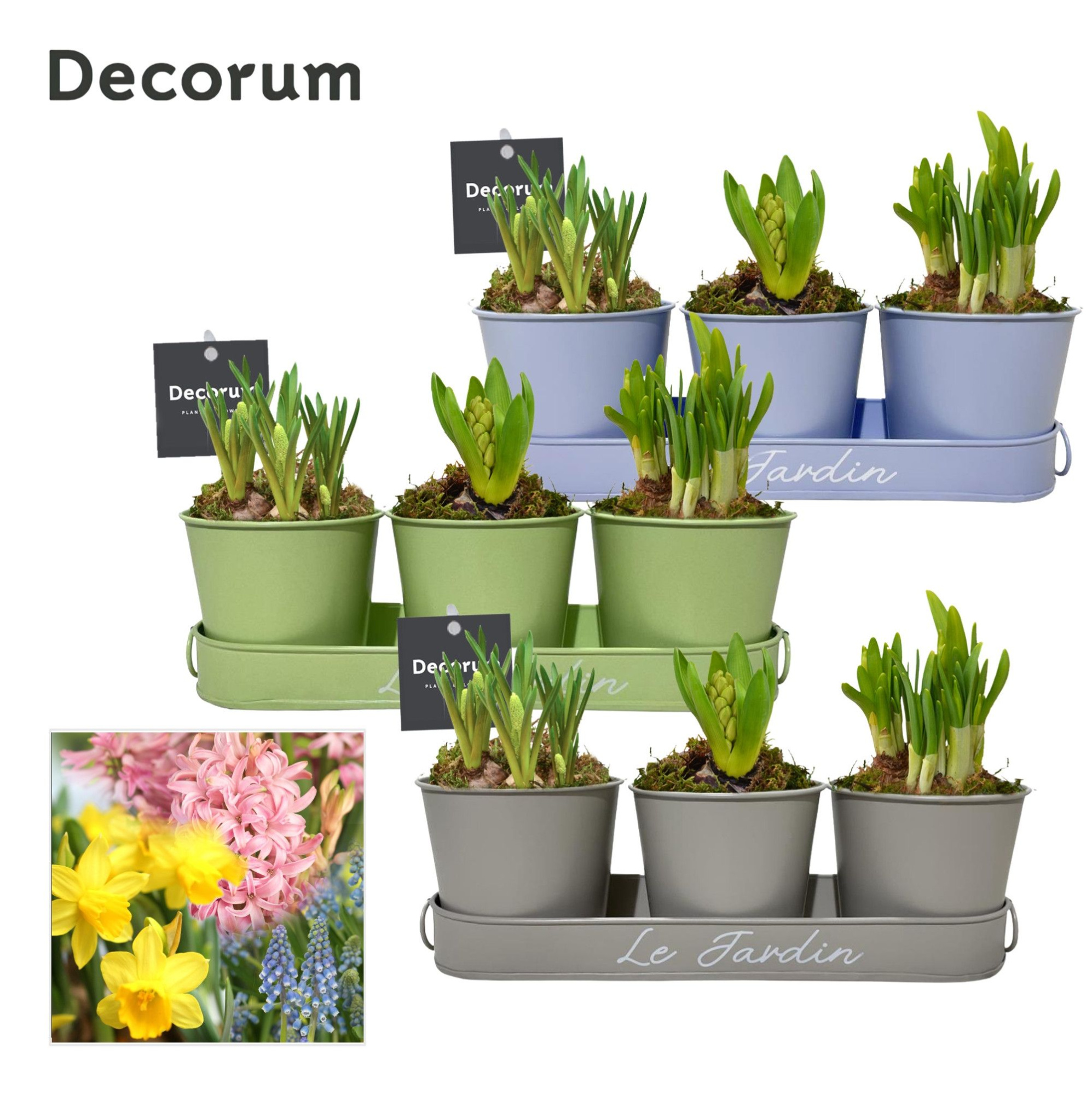 Bollenmix Zink Trio HL14833B, D 29 cm