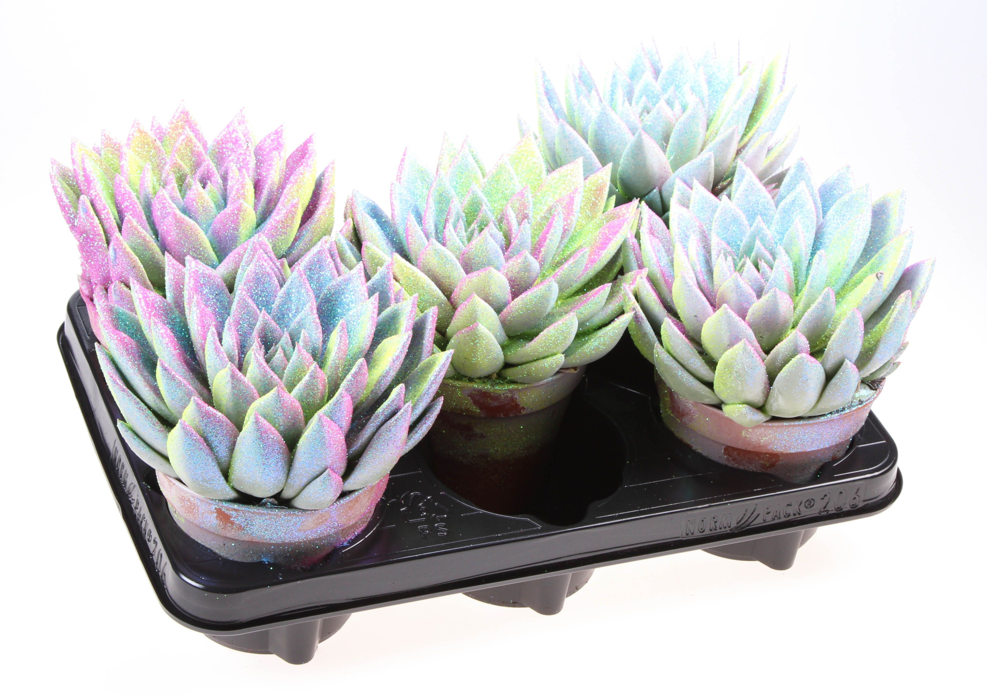 Miranda multi glitter mix, D 12