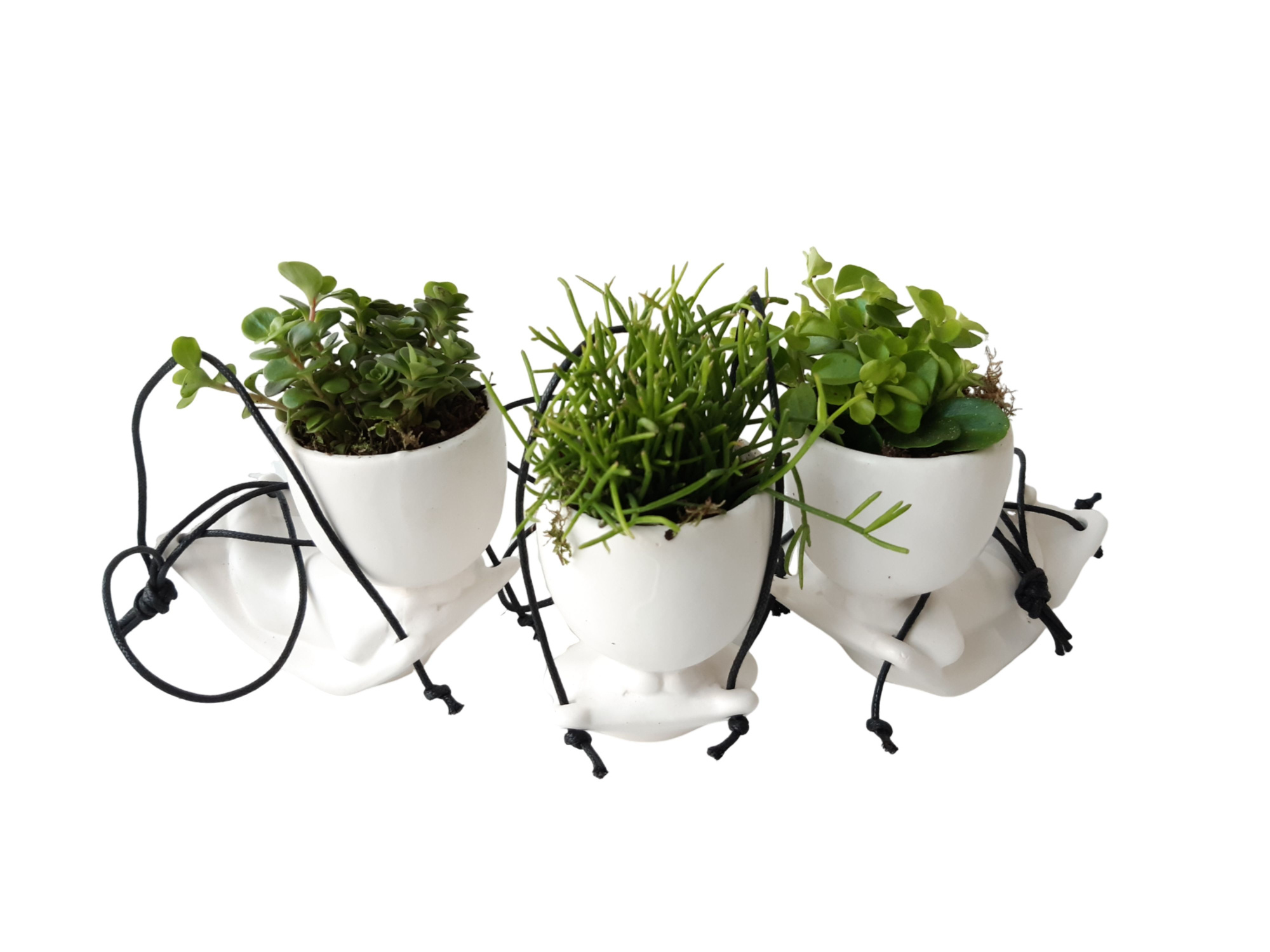 Chillings Hangmat D14 H11 Mini plantmix, D 14 cm
