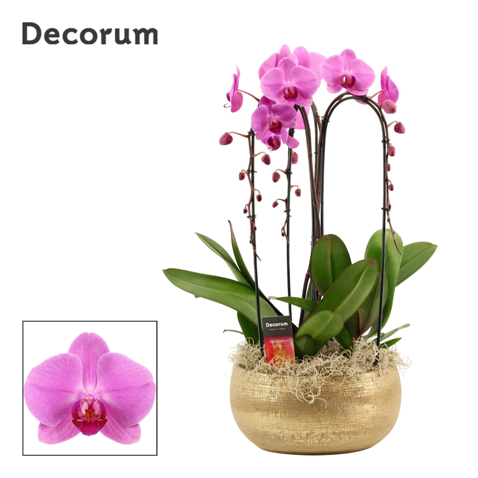 Aurelie cascade 3 tak symphony pink (Deco-collection), D 27