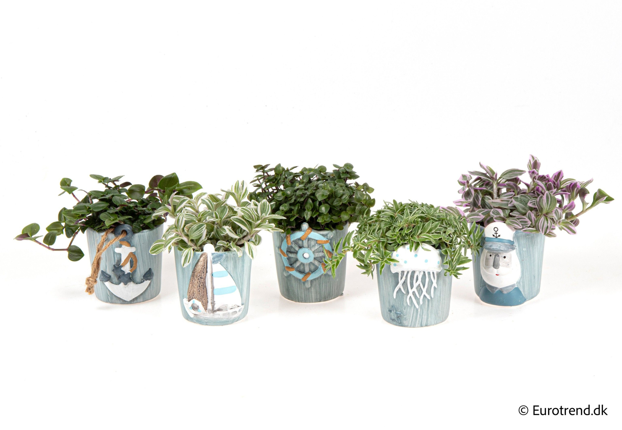 Green mix in sea ceramic - Spring, Summer & Autumn 2025, D 6 cm