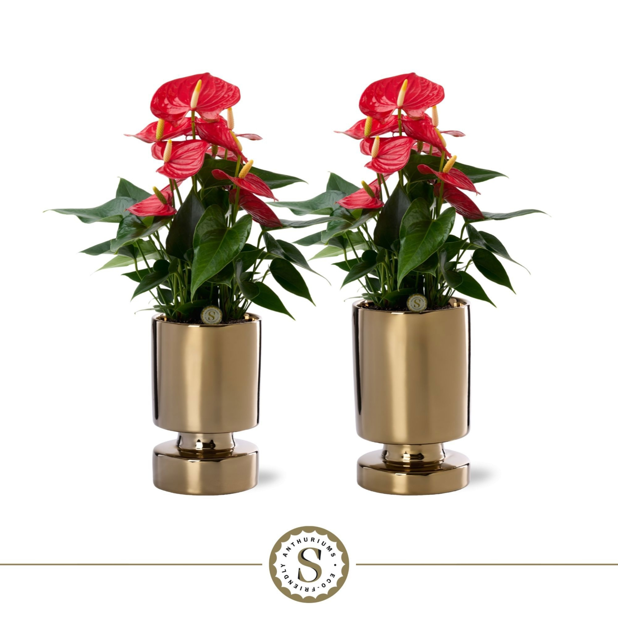 Stockholm Gold Keramiek 12cm Red, D 12 cm