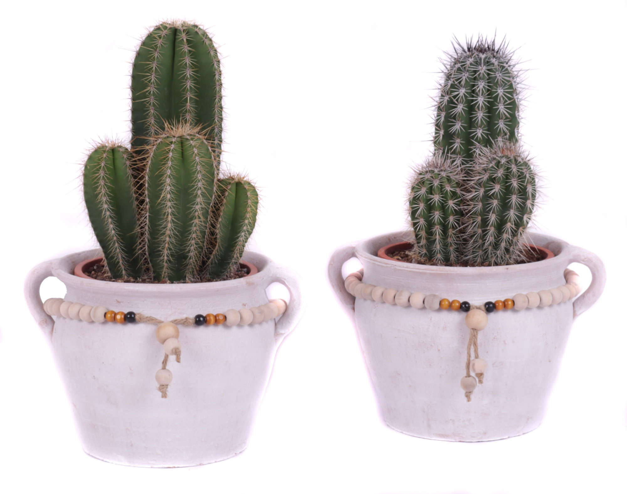 Cactus mix 17 cm in teno kruik, D 28 cm