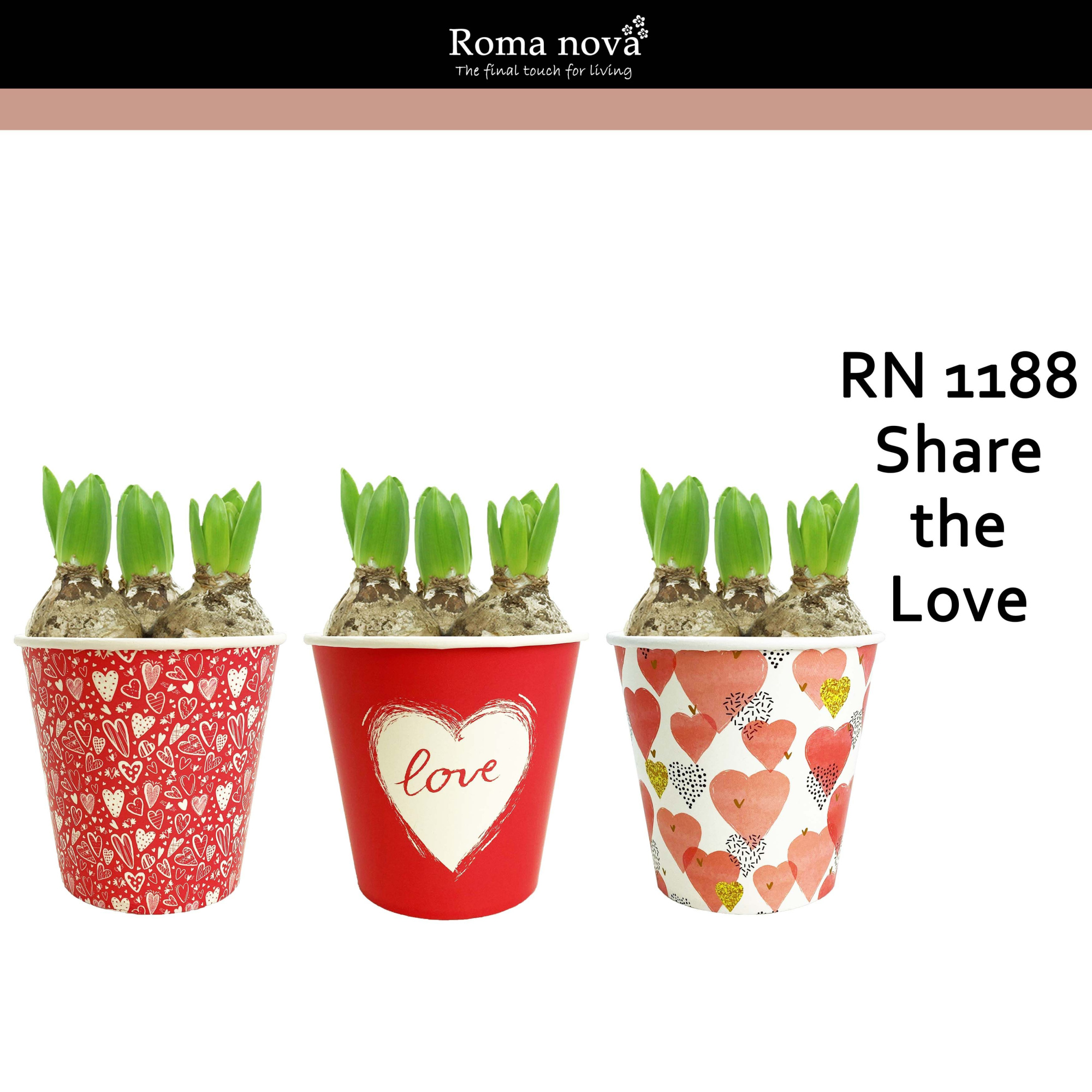 1188 - Share the Love (Hyacint), D 12