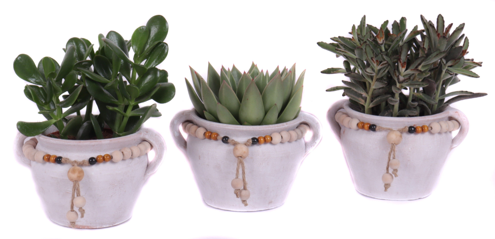 Succulent mix 12 cm in teno kruik, D 20 cm