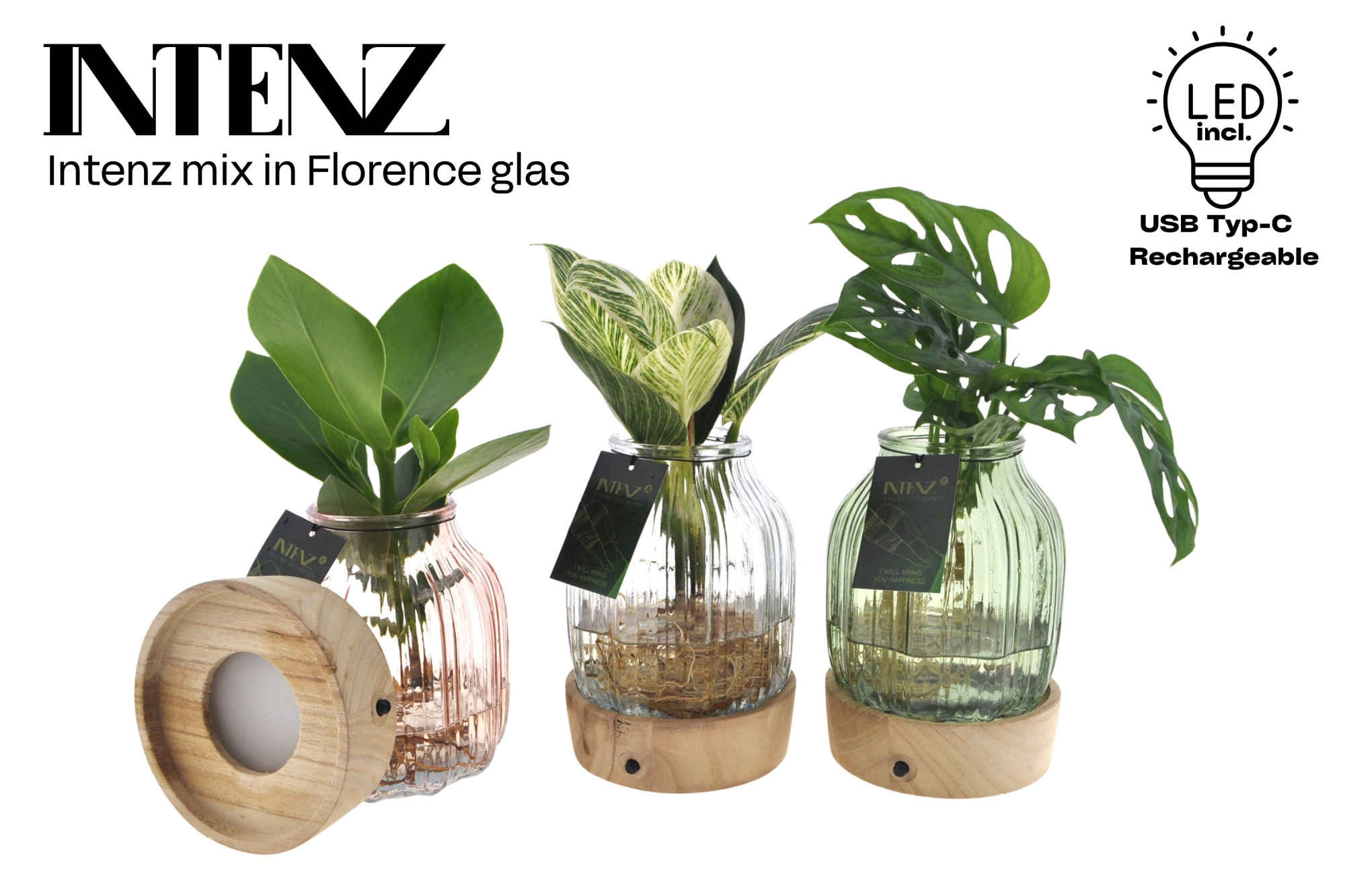 Intenz mix in Florence glas + LED - levertijd: 24 uur, D 12 cm