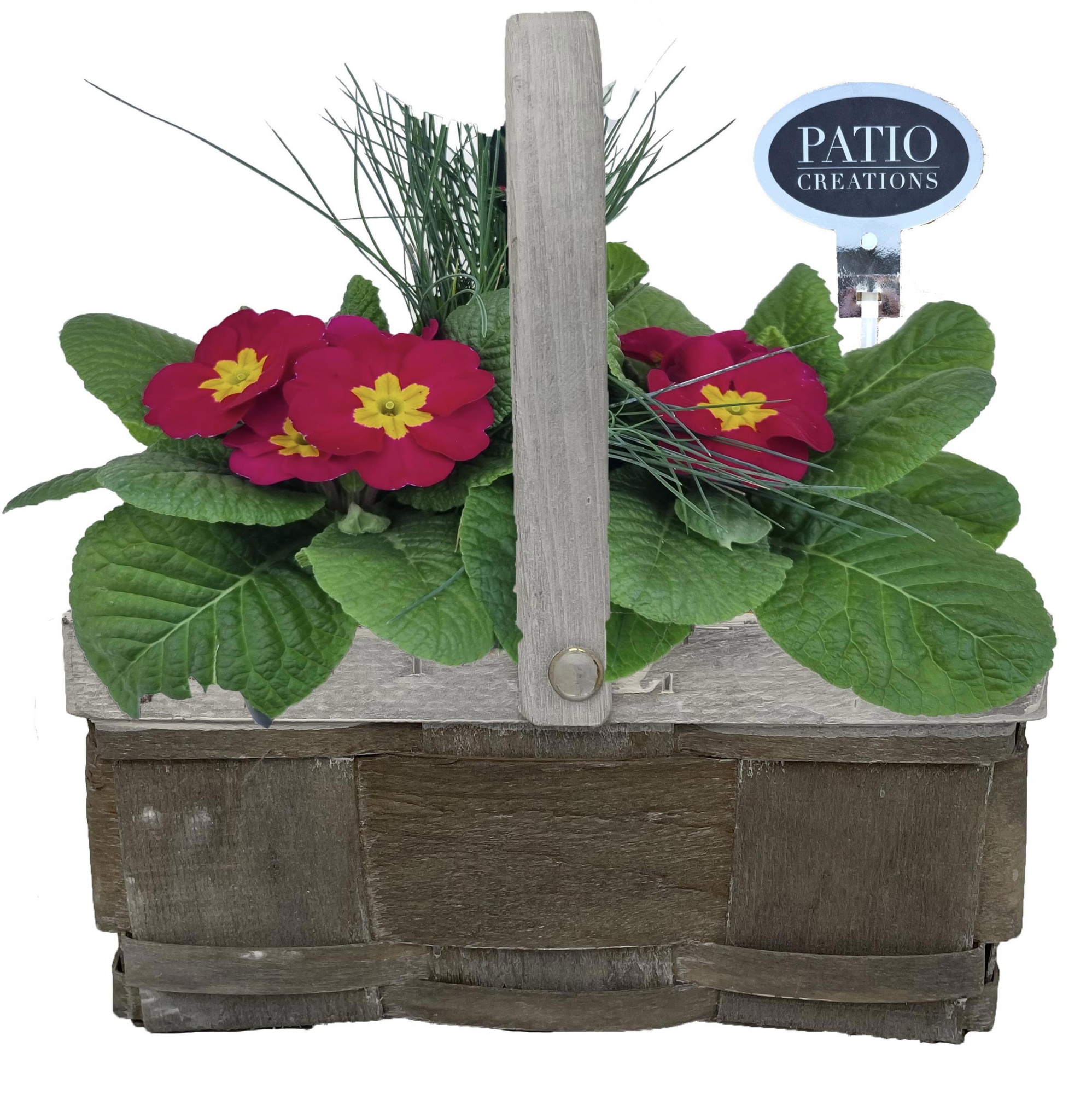 PRF826-9001 Primula met Festuca Fenna houten handvat S, D 21