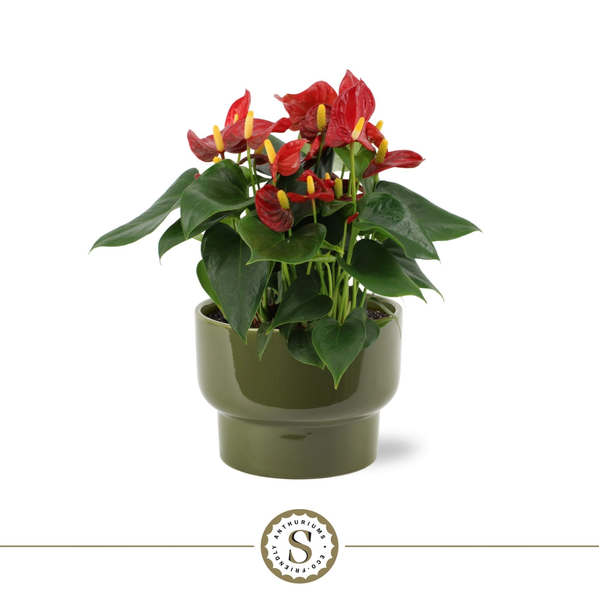 Athene Keramiek Green - Red, D 17