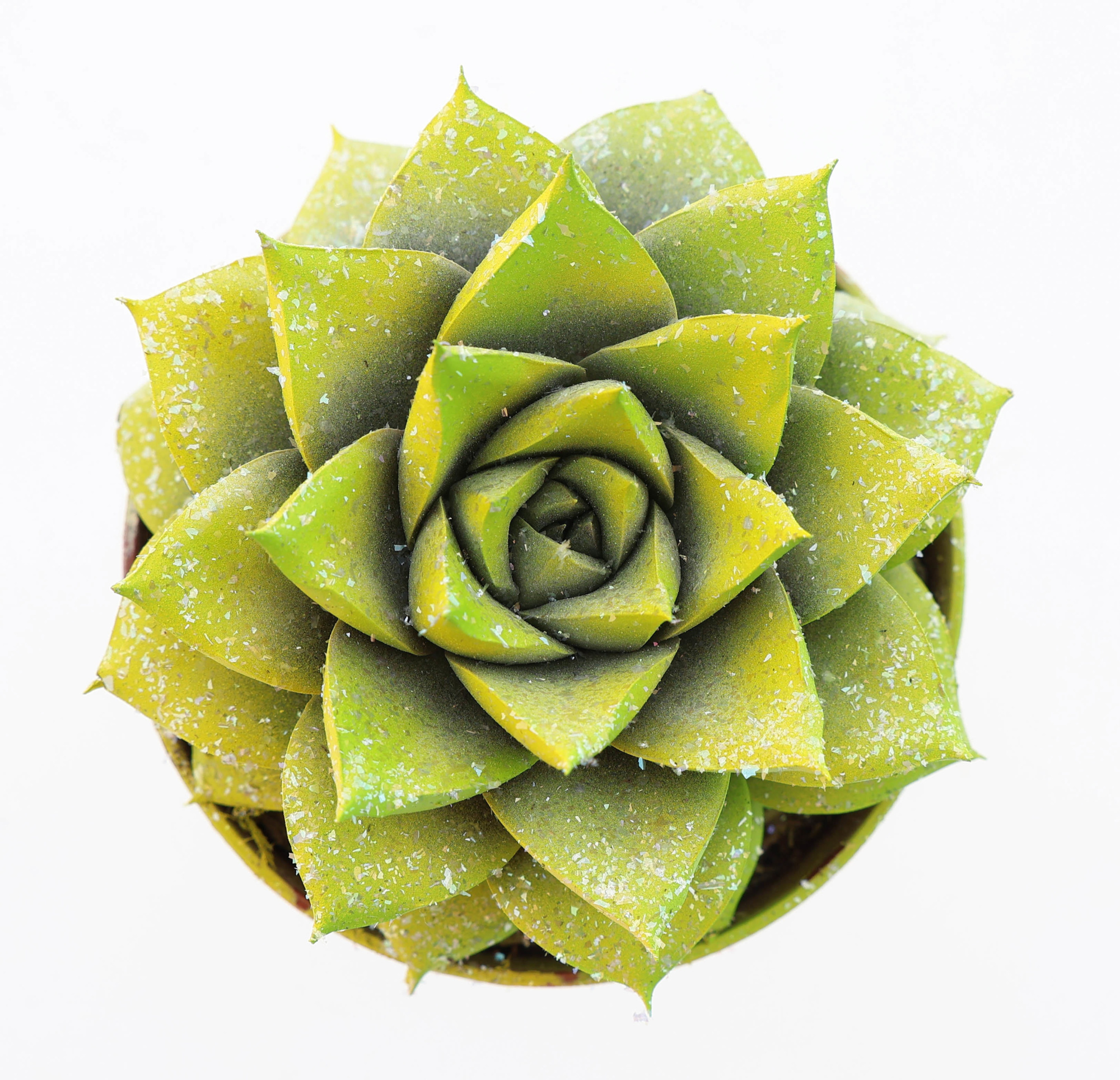 Purper easter multi glittermix, D 8,5