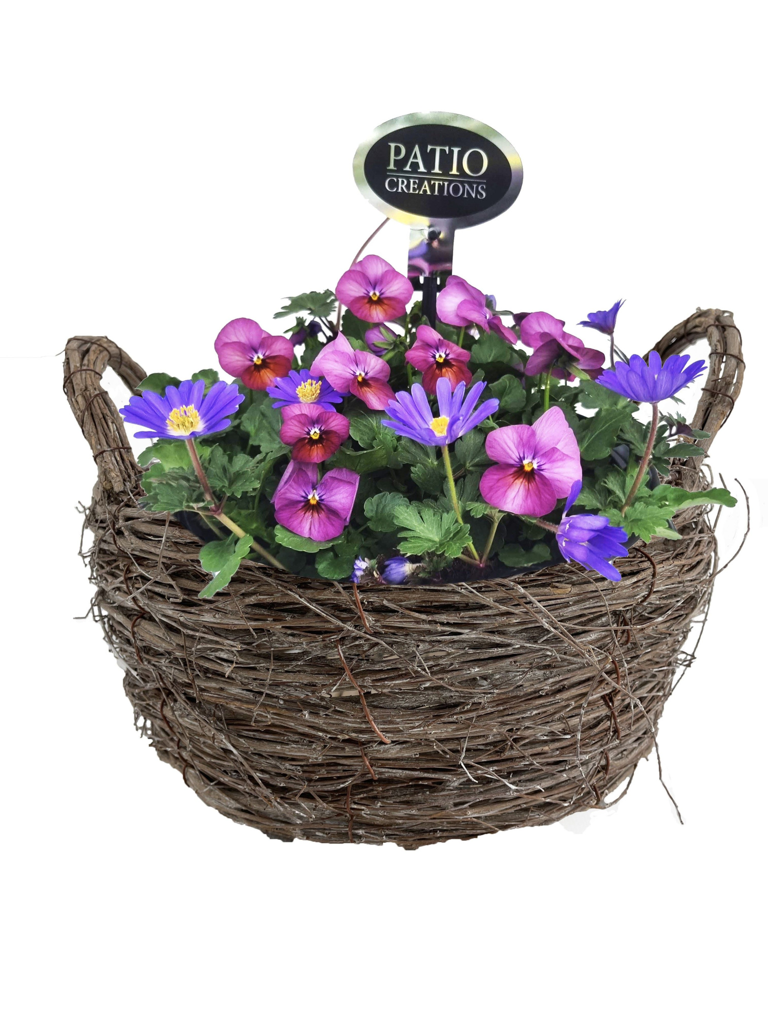 VAN832-9323 Viola/Anemone mand handvat Jens, D 23