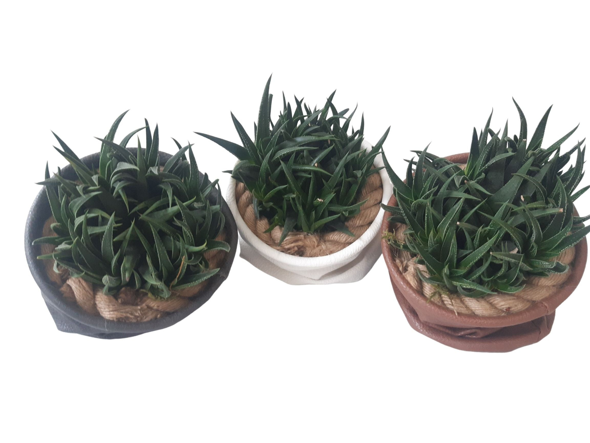 LBD14HAW Leather Bag D14 Haw.Herbacea, D 14 cm