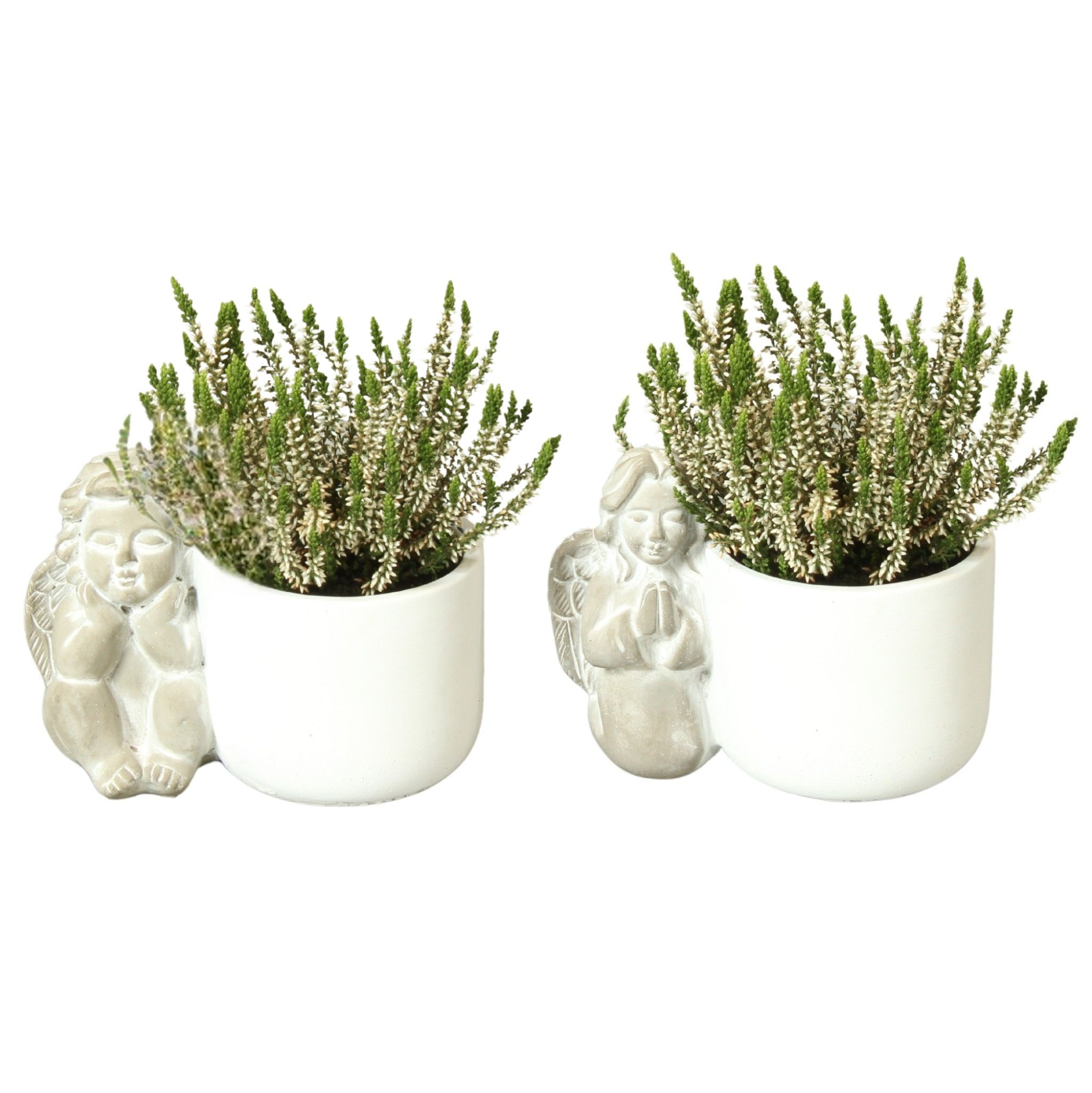 All Saints Arr. Outdoor Ceramic Angel Duo with Pot White Ø18cm, D 17 cm