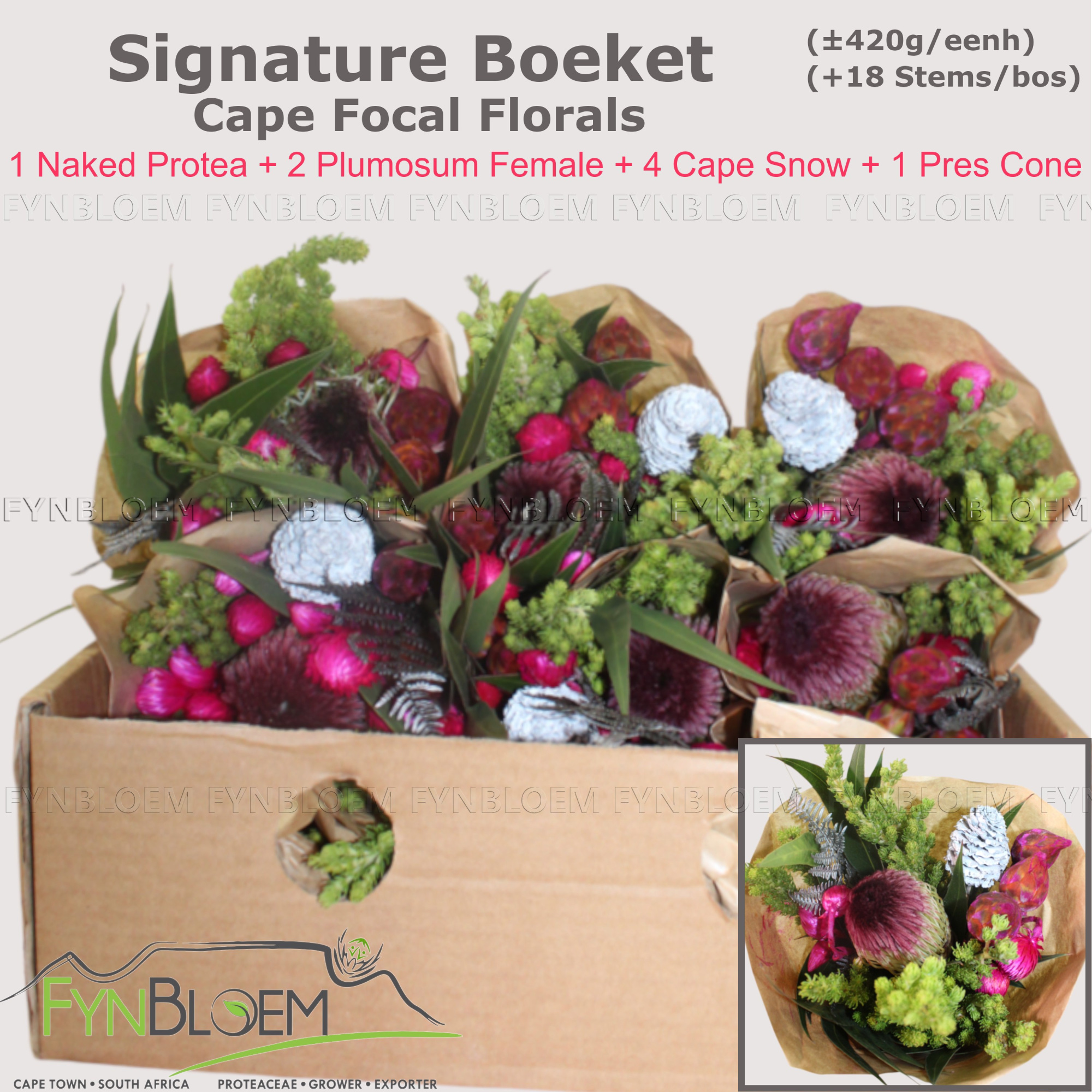 Протея Овериг за пучок 50, пуч.