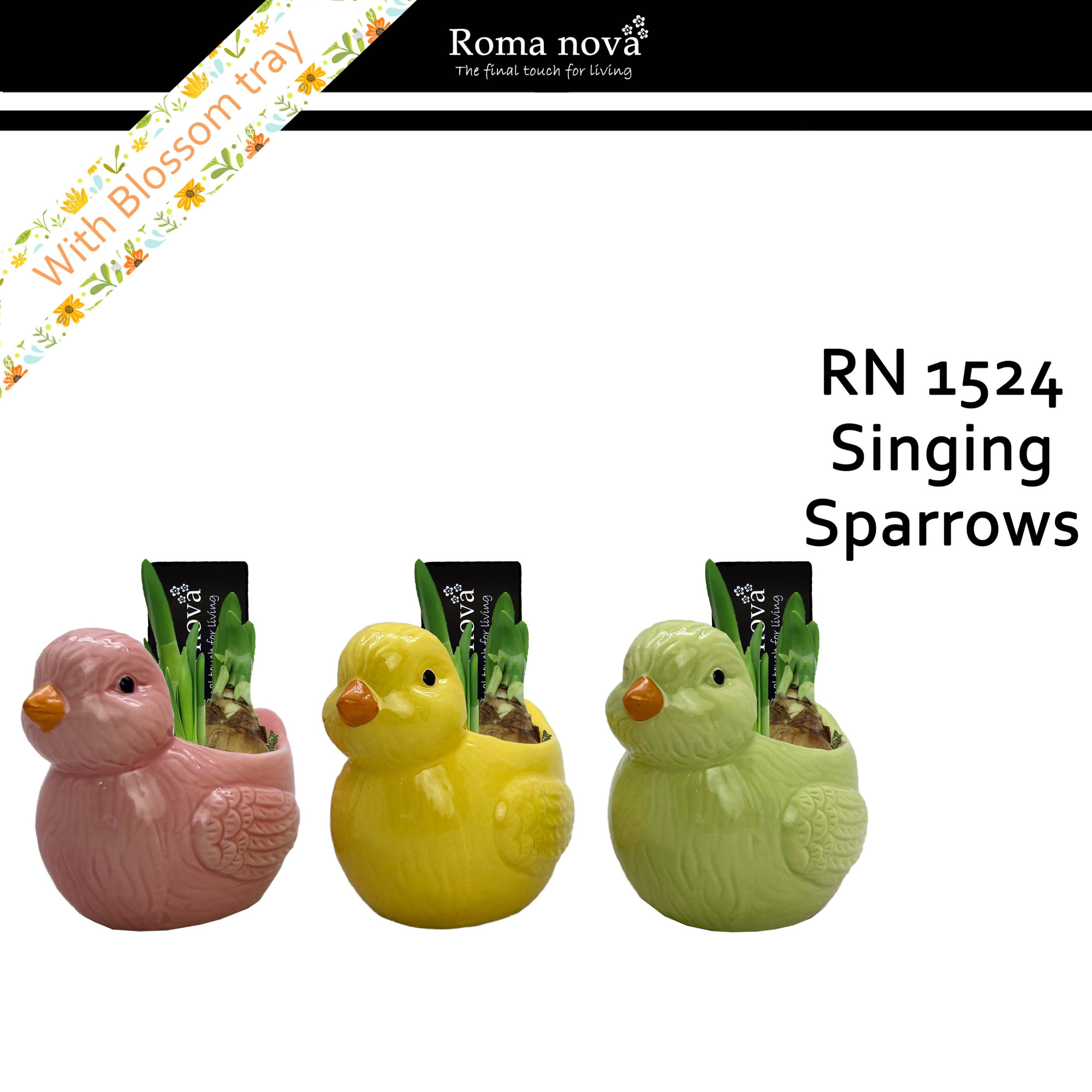 1524 - Singing Sparrows (Tete a Tete), D 13