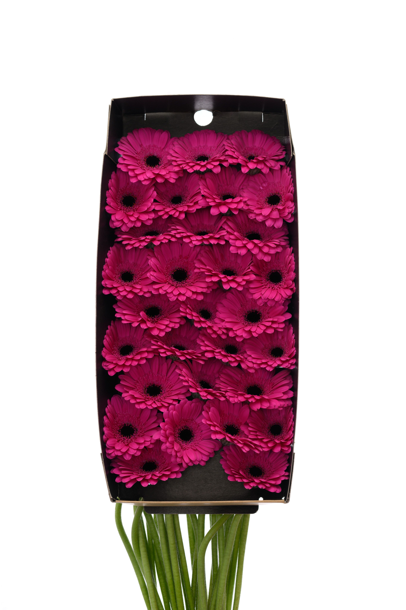 Гермини Анна x60, шт.