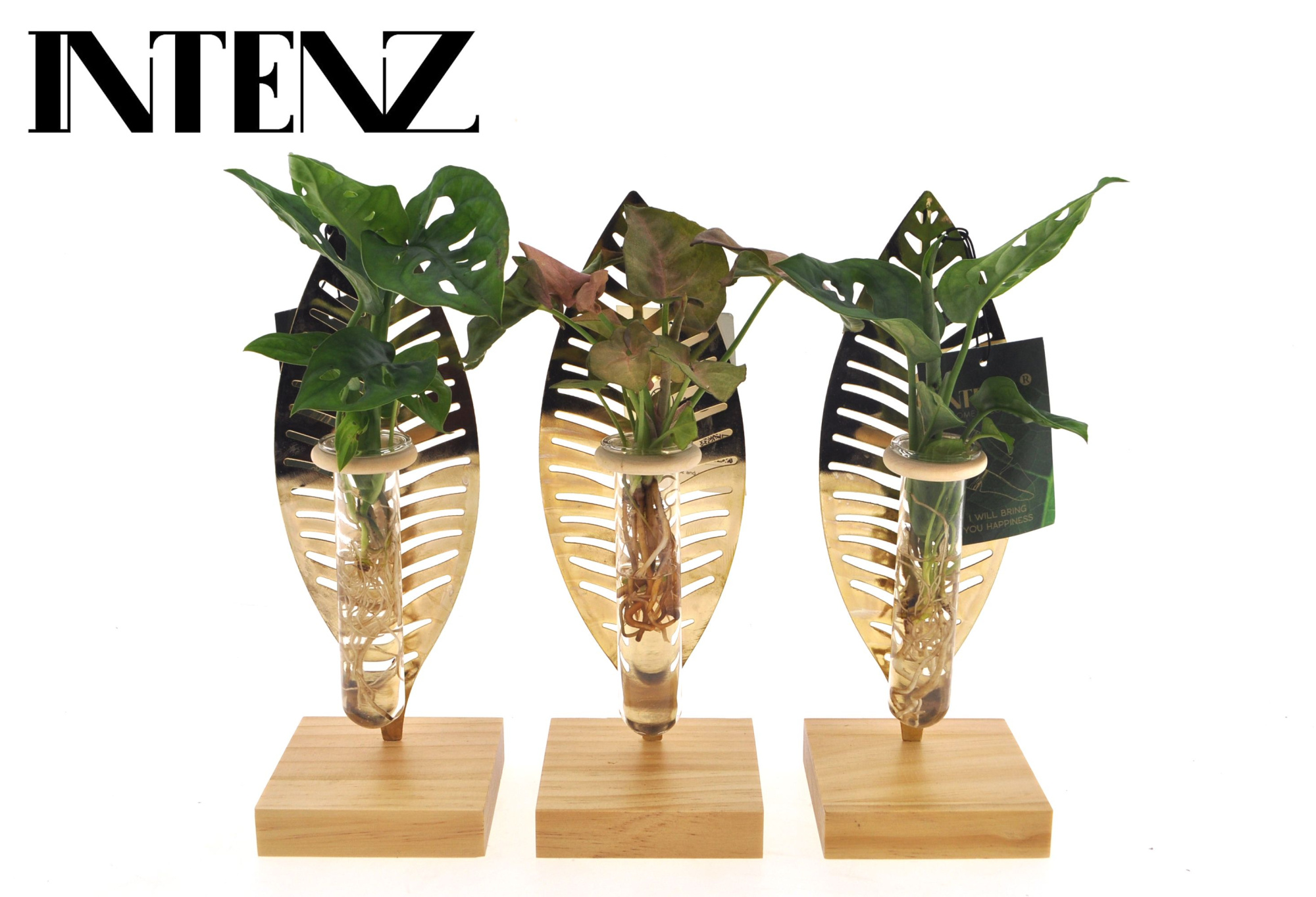 Mix in Verona glas - levertijd: 24 uur, D 7 cm