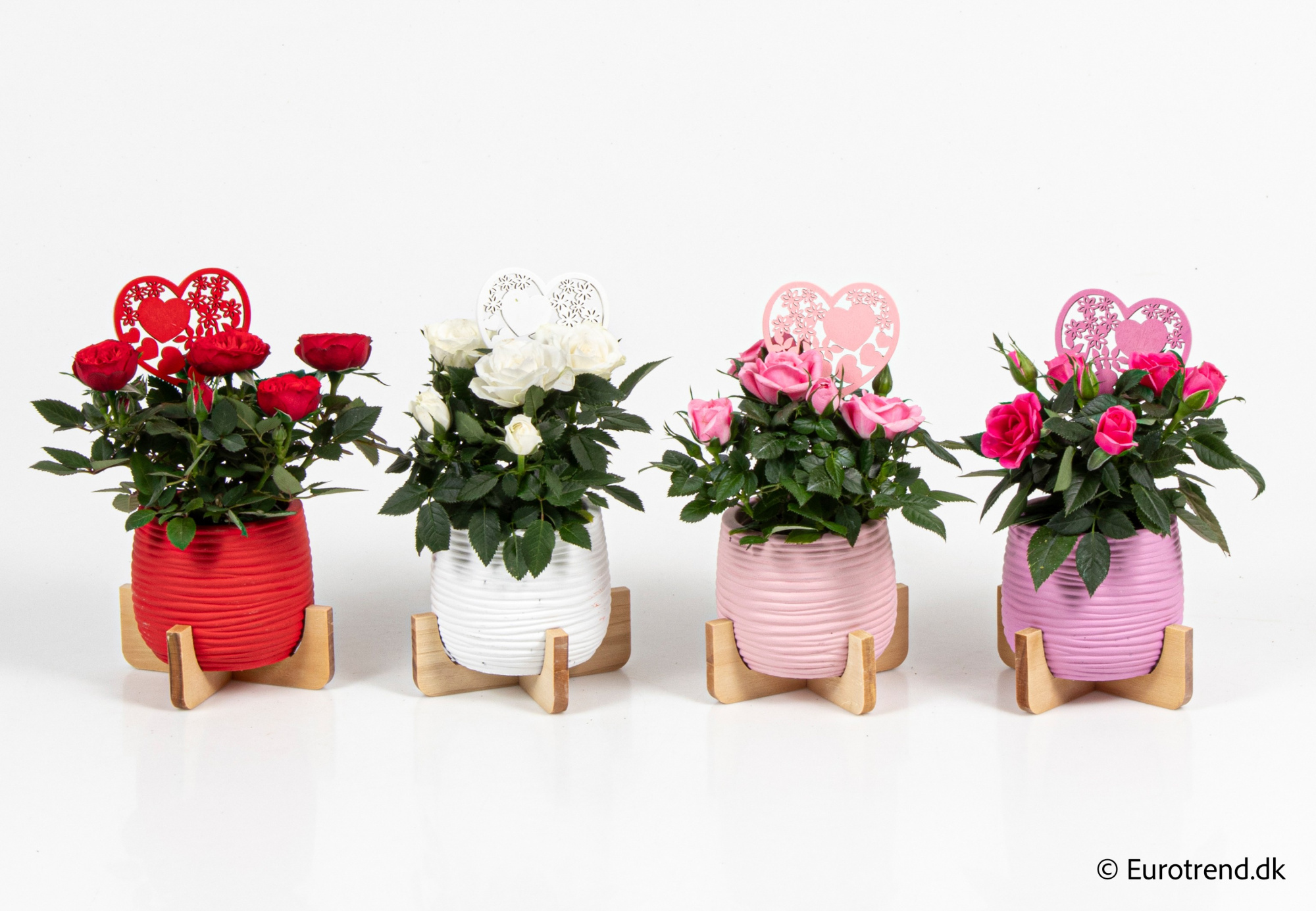 Roses in Valentine ceramic 2026, D 6