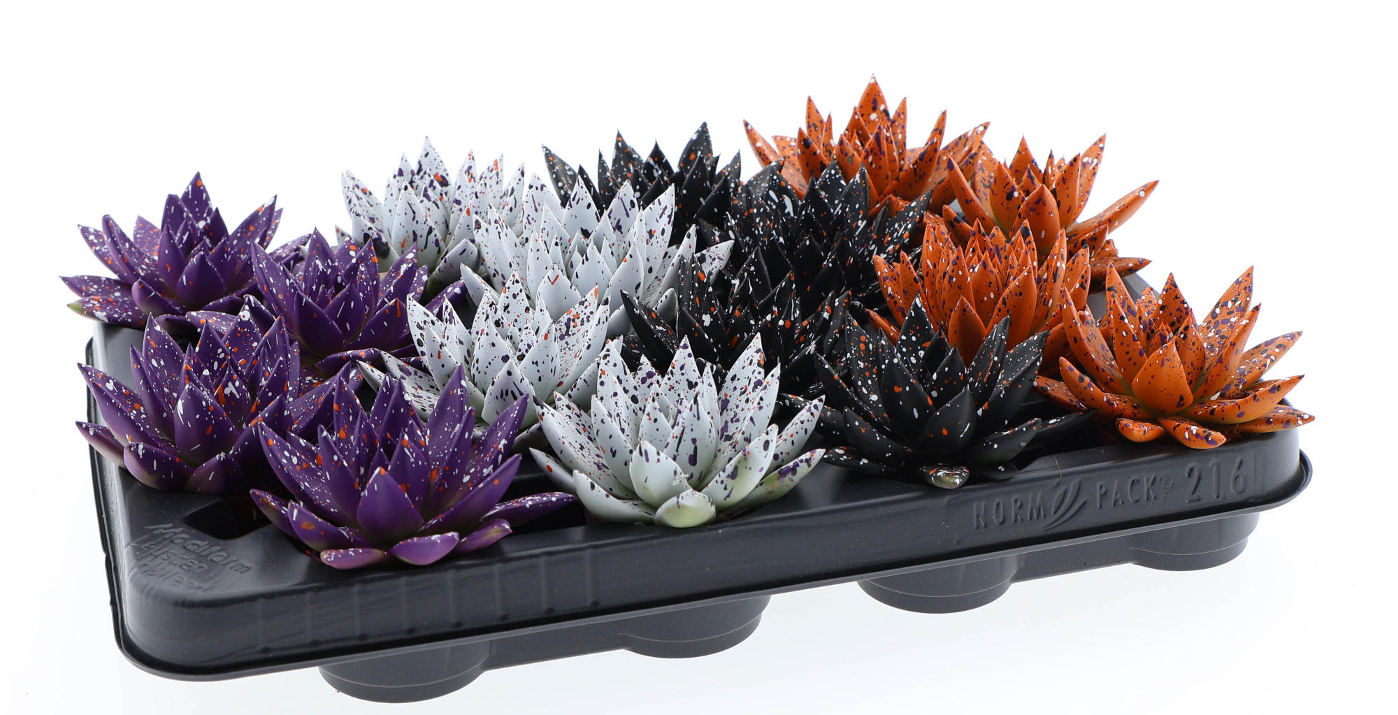 Halloween sprinkle mix, D 6