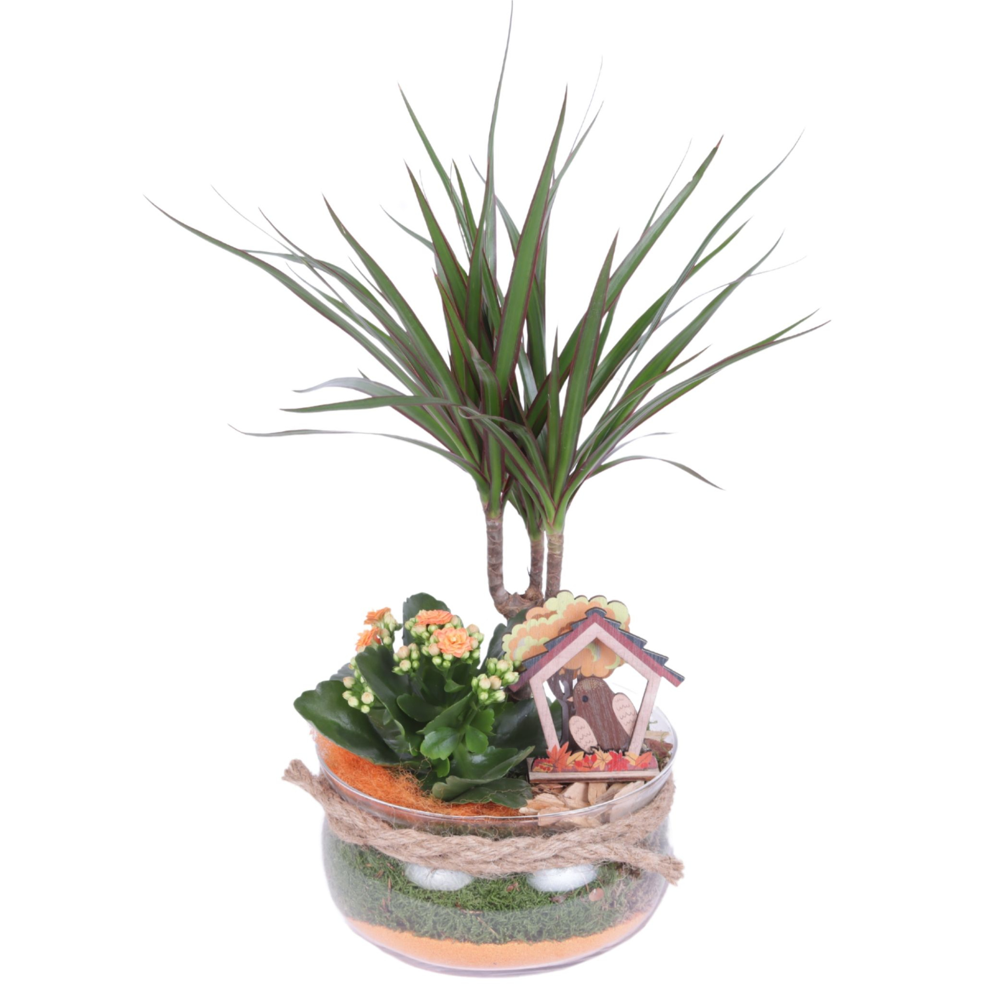 Autumn Arr. Indoor Glass Bowl with Rope Ø20cm 2PP, D 20 cm