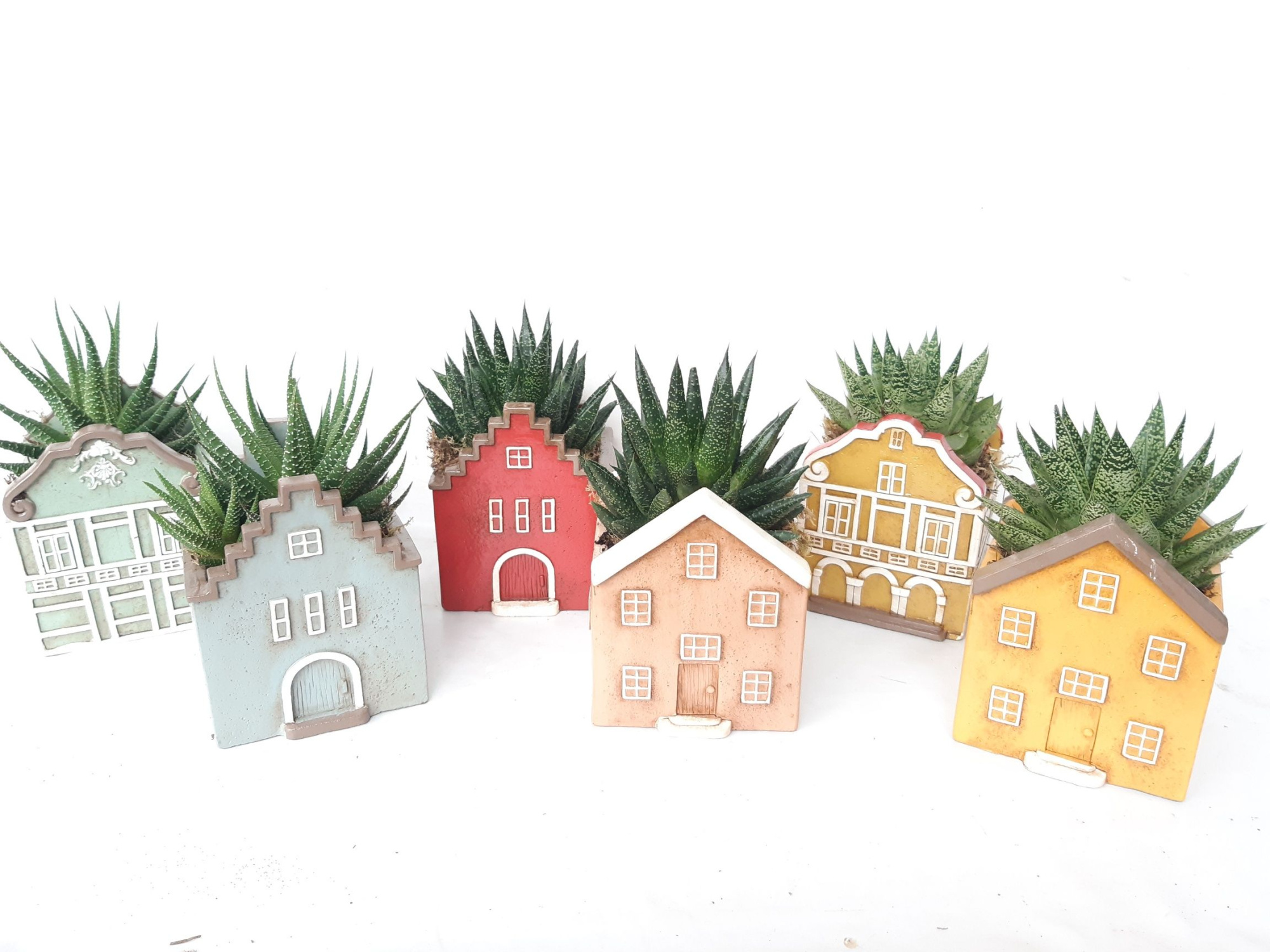 CASA S11SUC Casa Scandinavian Succulentmix, D 11 cm