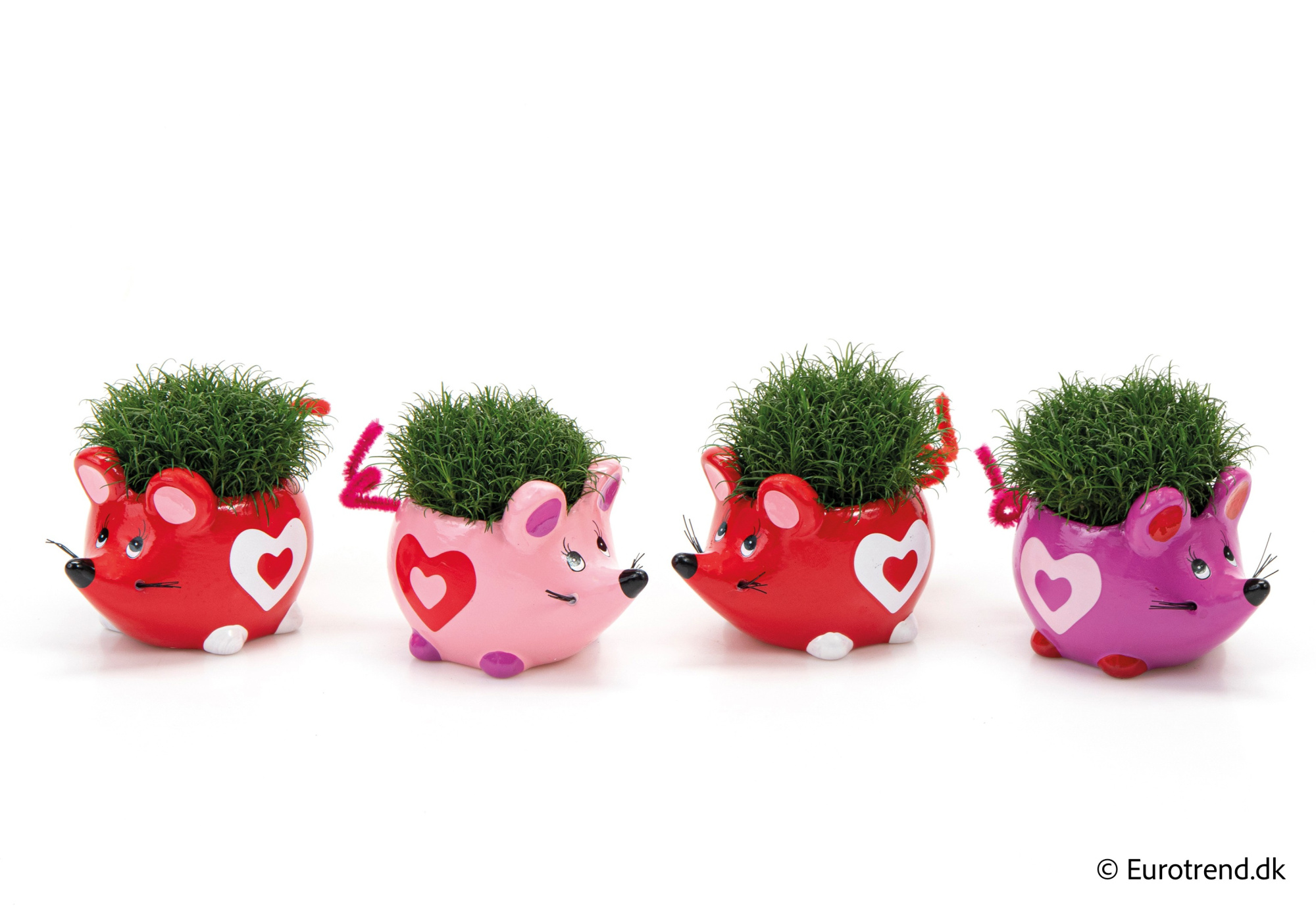 Sagina in Valentine ceramic 2026, D 6