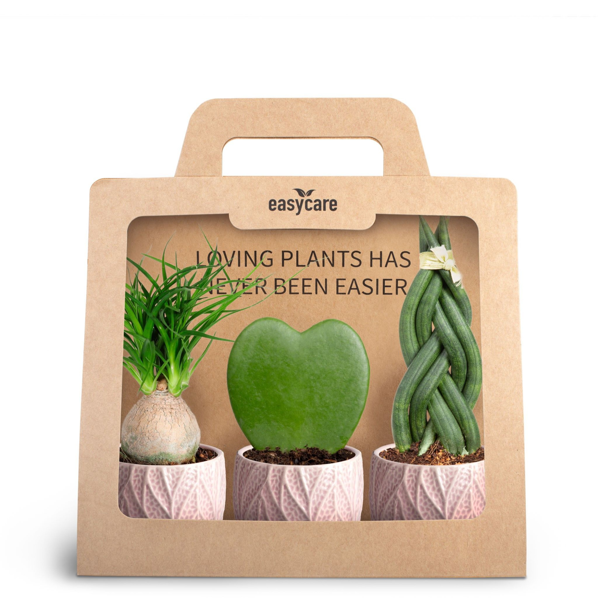 3-Pack Leaf Rosa, D 7 cm