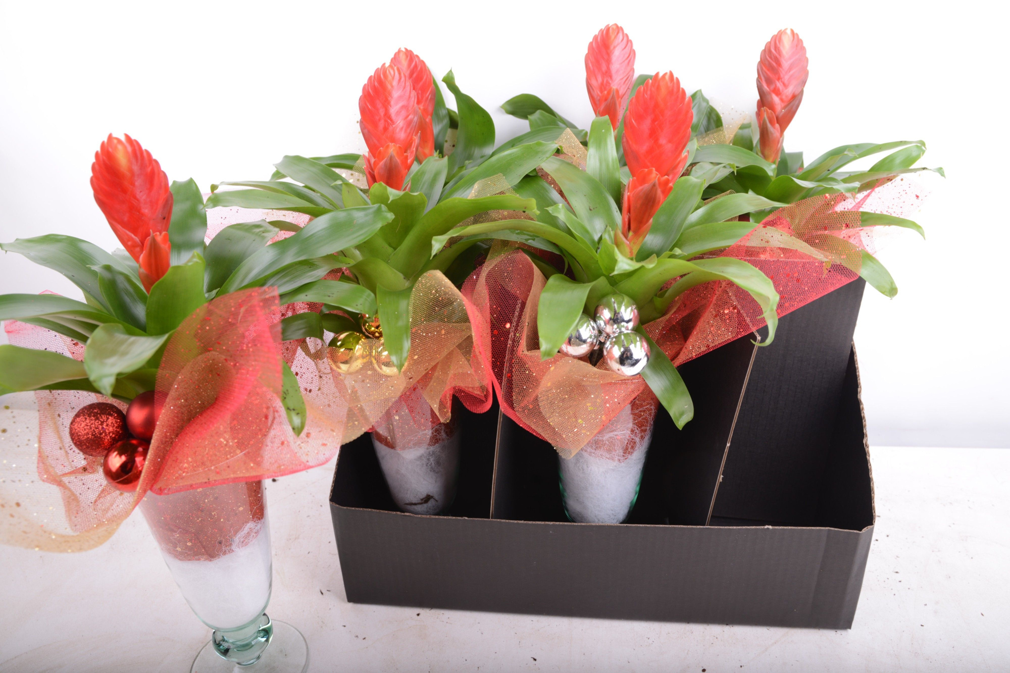 kerst ijscoupe, D 12 cm