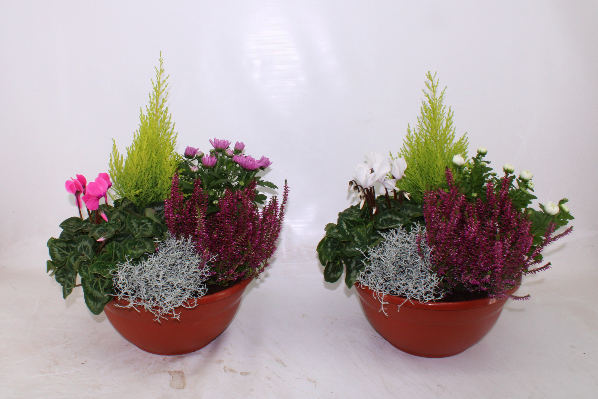 Hello Autumn in terracotta schaal 30 cm 'Falls', D 30 cm