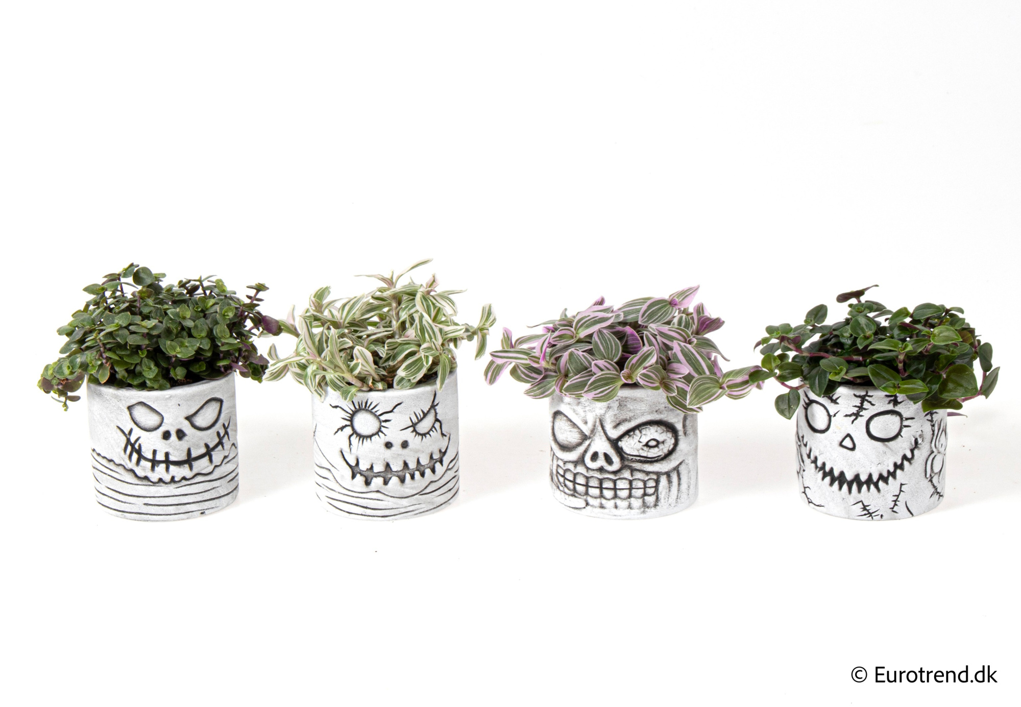 Green Mix in Halloween ceramic 2025, D 6 cm