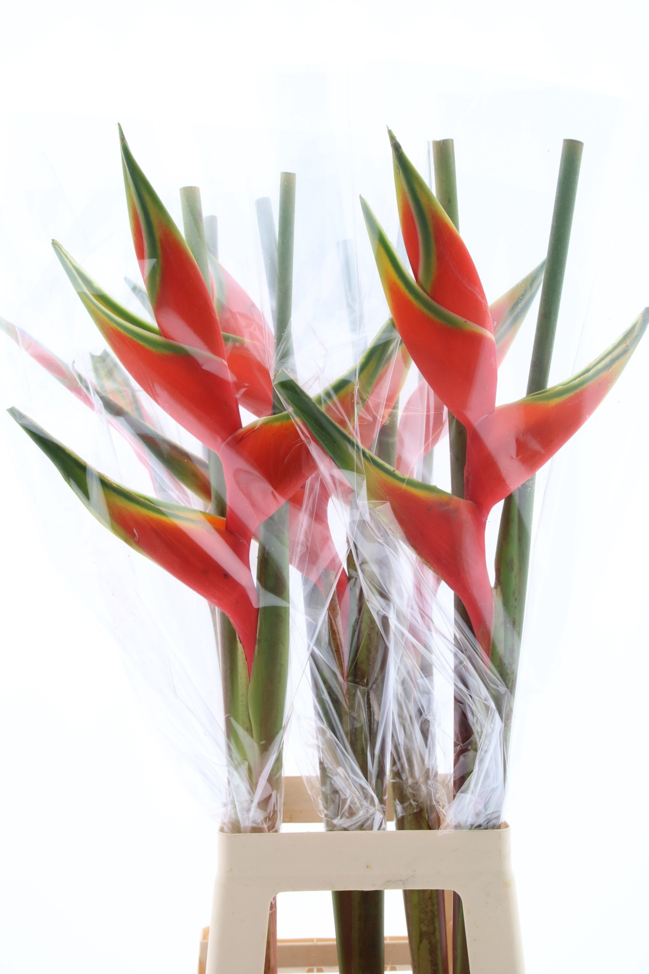 Геликония Овериг 90, шт.