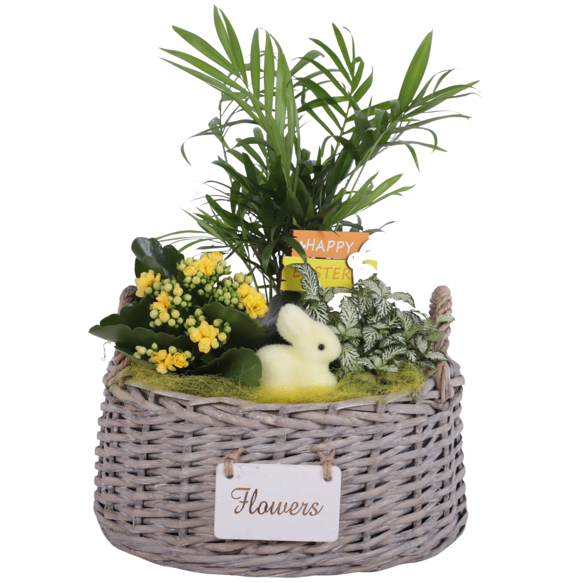 Easter Arr. Indoor Willow Basket Oval Flowersign Ø27cm 3PP, D 27