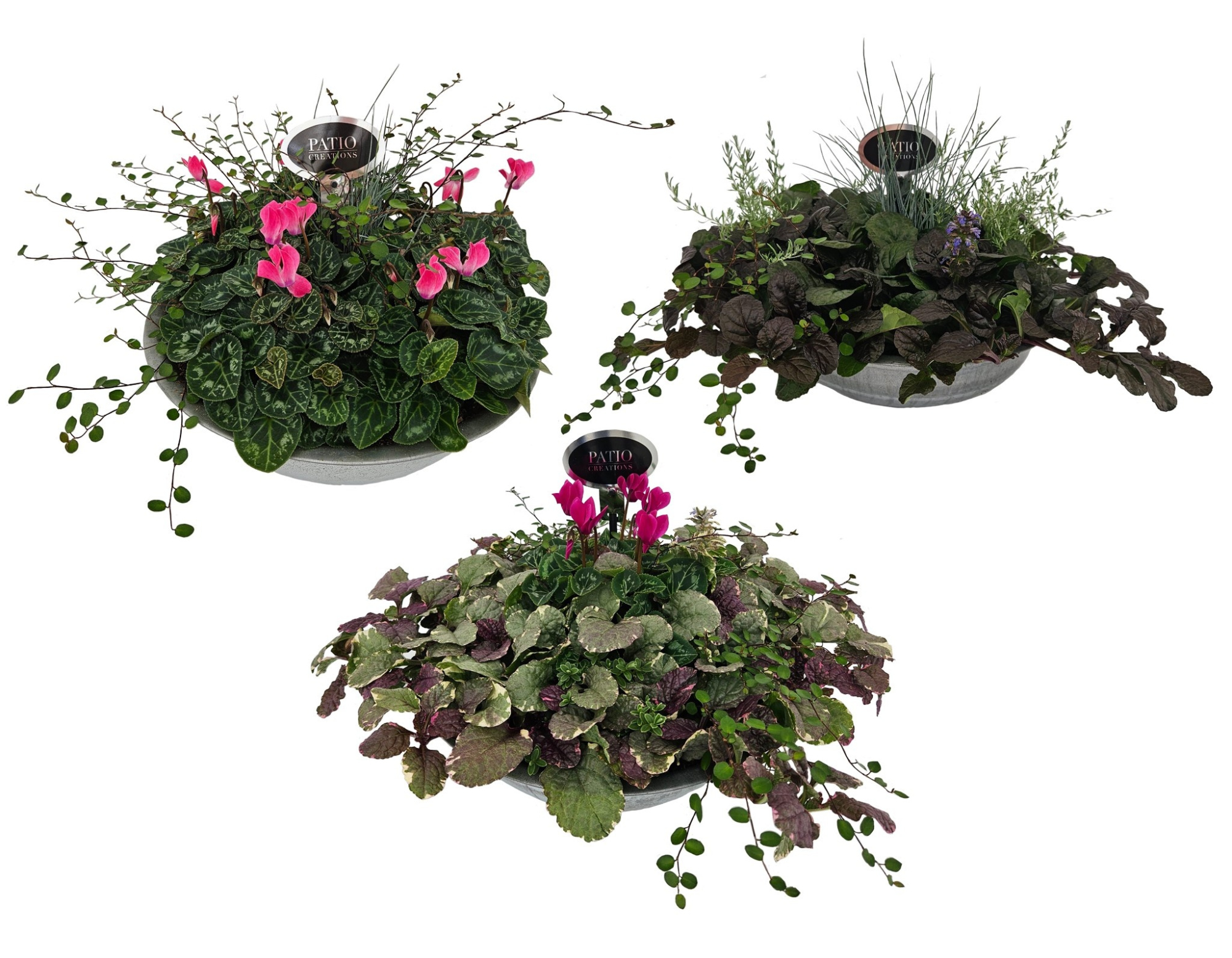 NJR602 najaarsmix zink schaal, D 31 cm