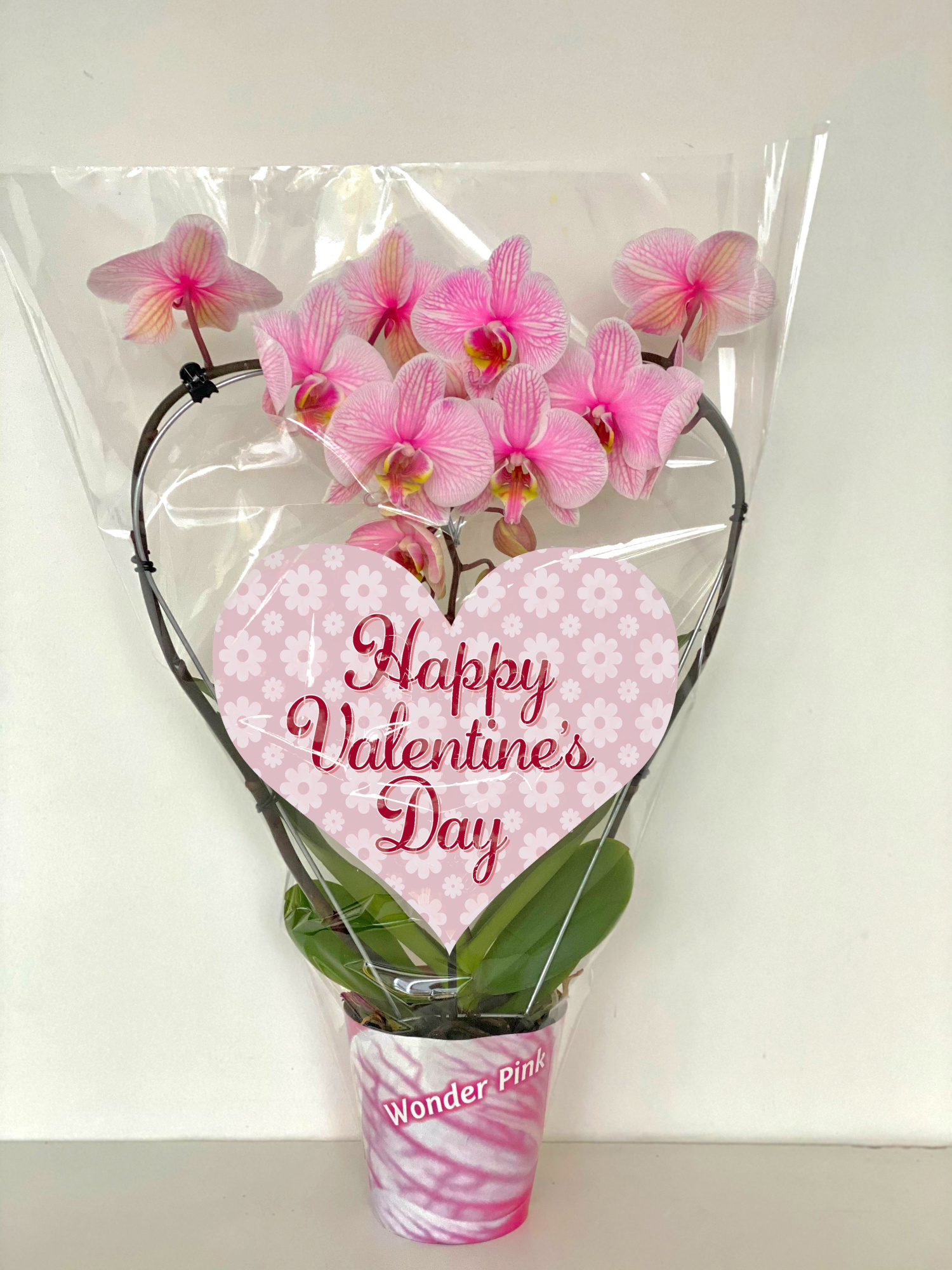 hart 12cm roze valentijn, D 12