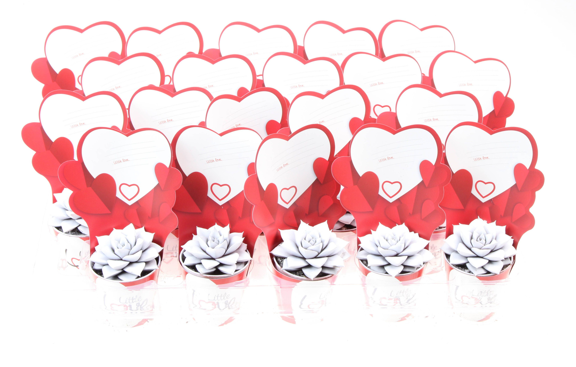 Potcover little love purper wit, D 5,5