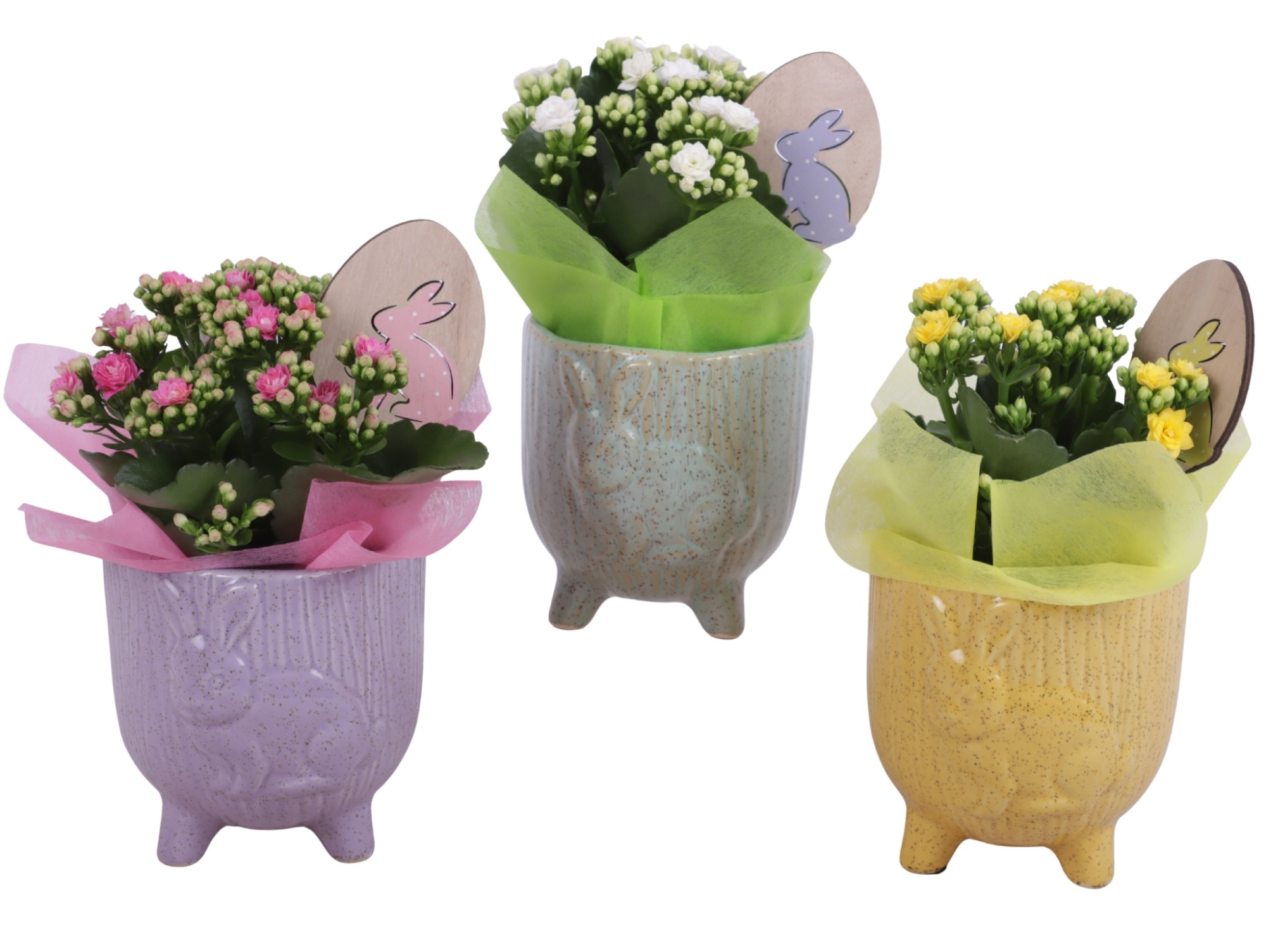 Easter Arr. Indoor Ceramic Pot Round Rabbit Feet Ø11cm 1PP, D 11