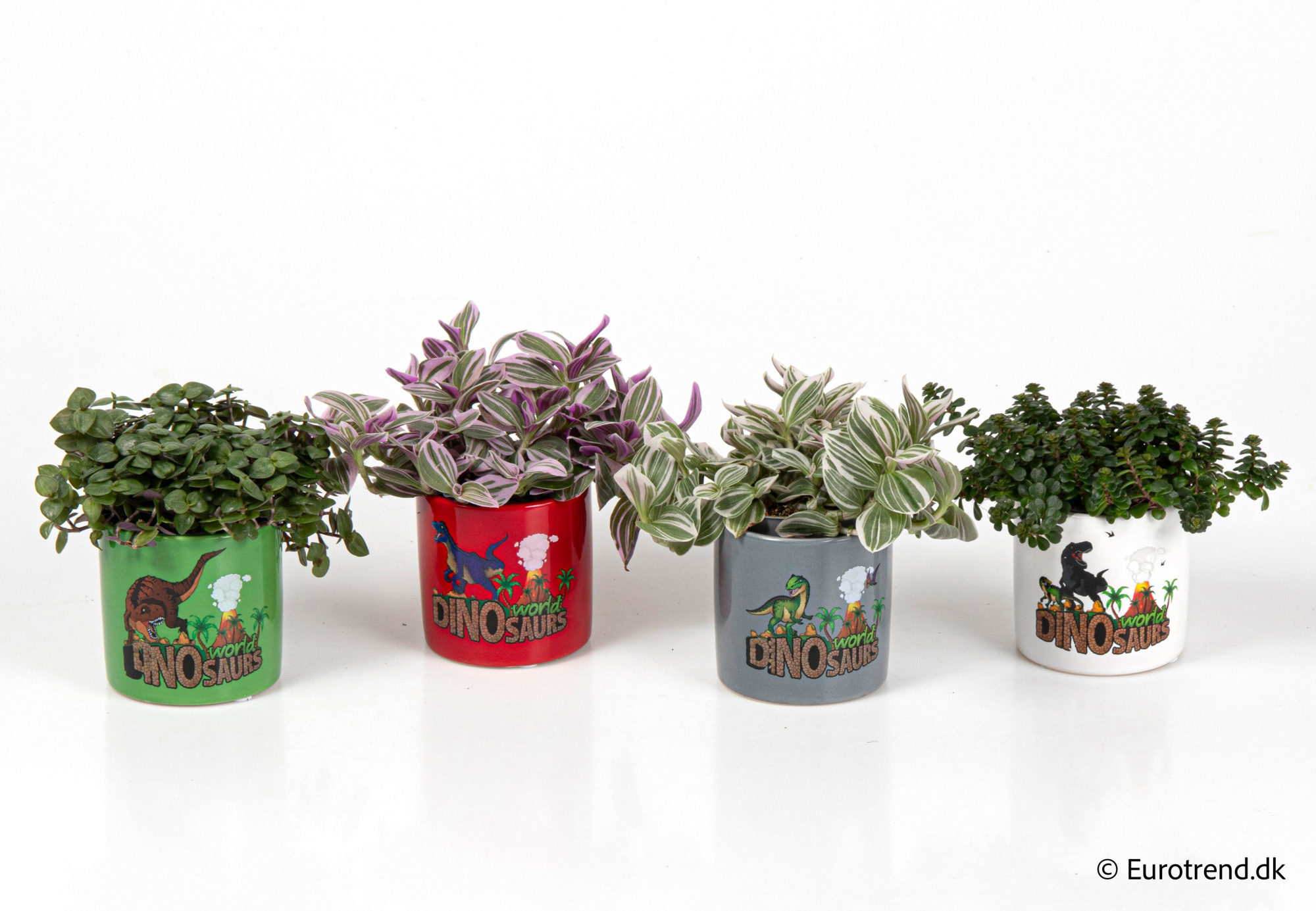 Green mix in Spring, Summer & Autumn ceramic 2026, D 6