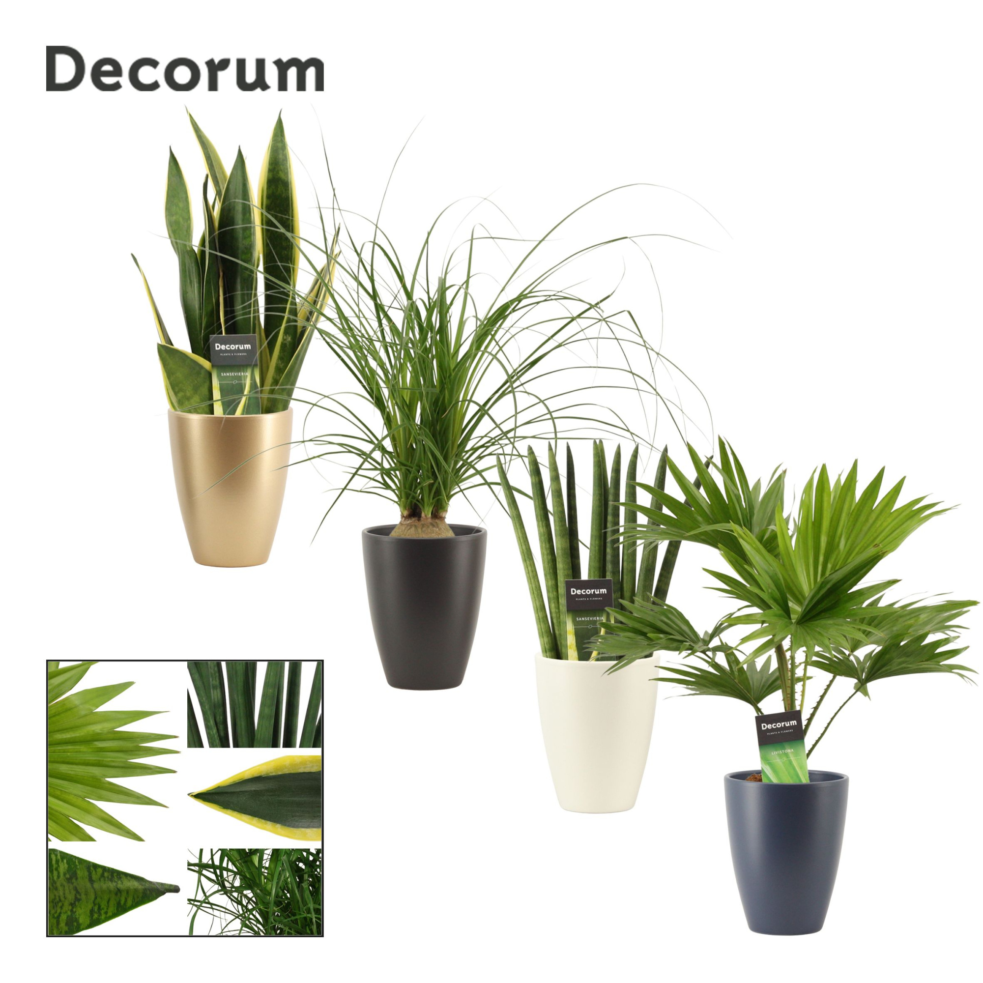 Groenmix 12 cm in Carly (Neo Architect-collection), D 12 cm